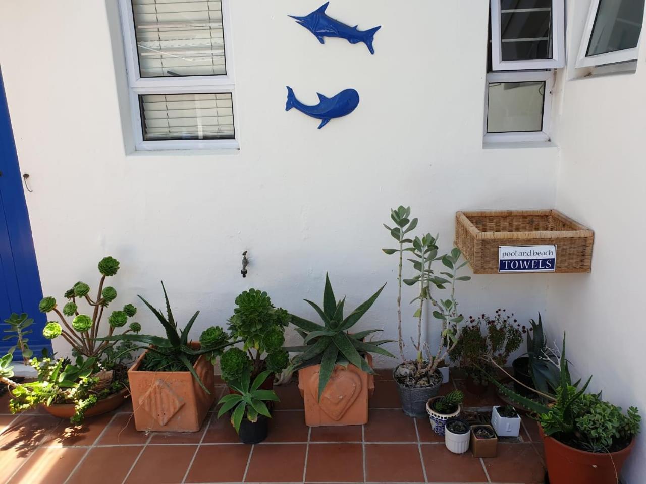 BlueSky Arniston Boutique Guesthouse