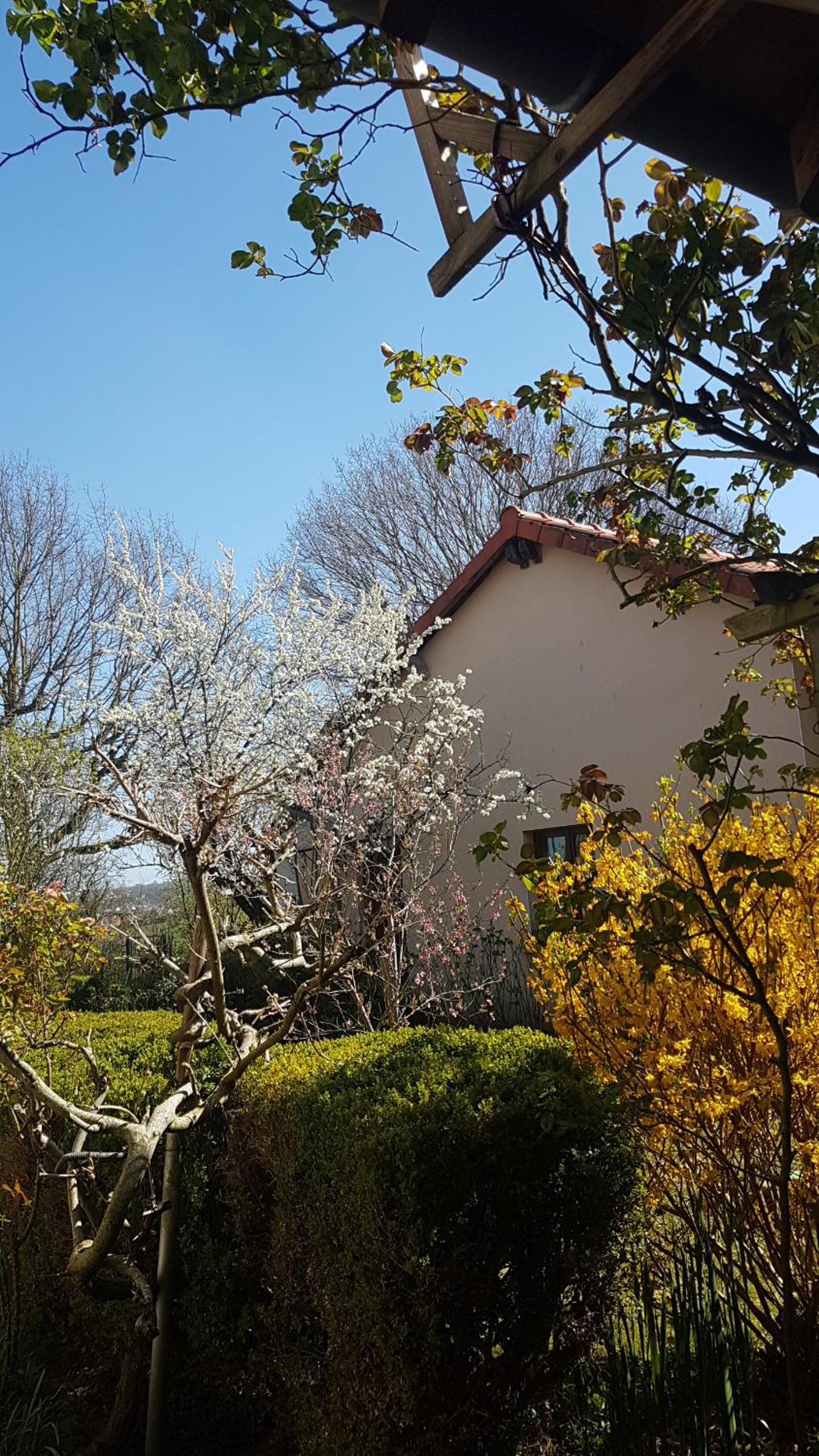 MIRABELLE view 2