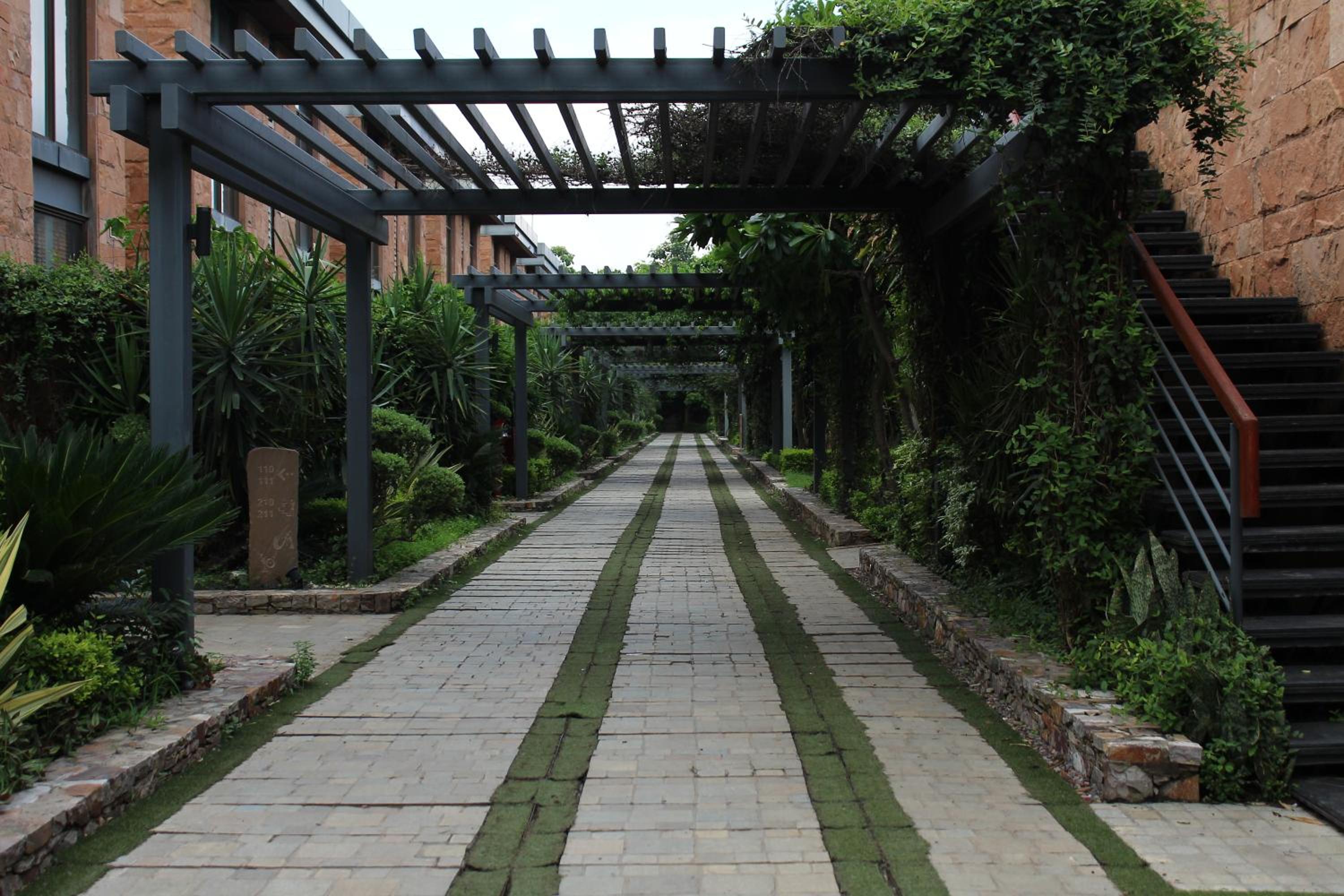 Taj Damdama Lake Resort & Spa, Gurugram