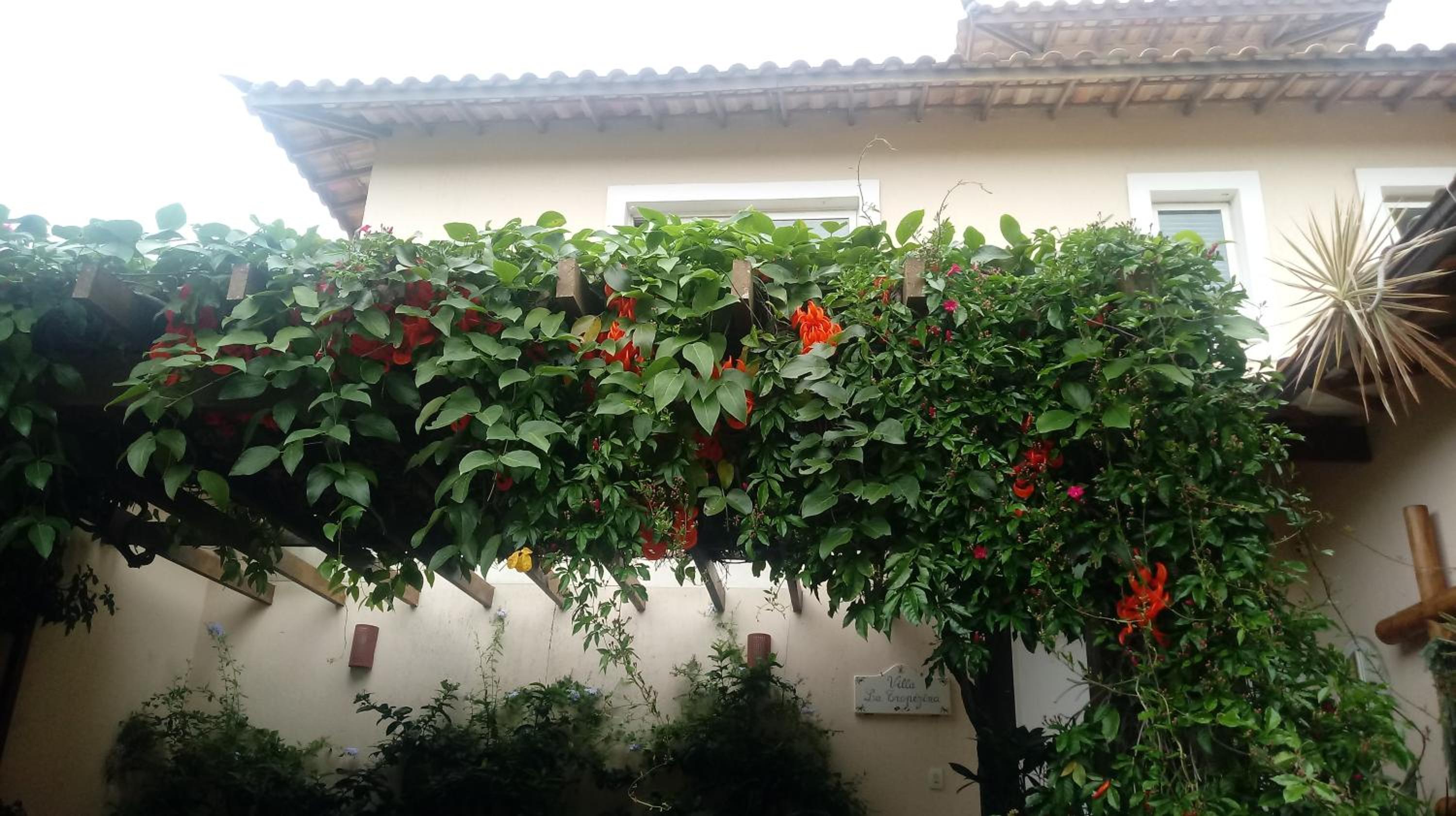 La Tropezina