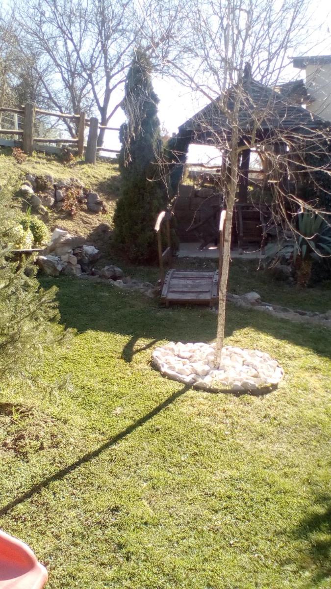 Photo 43
