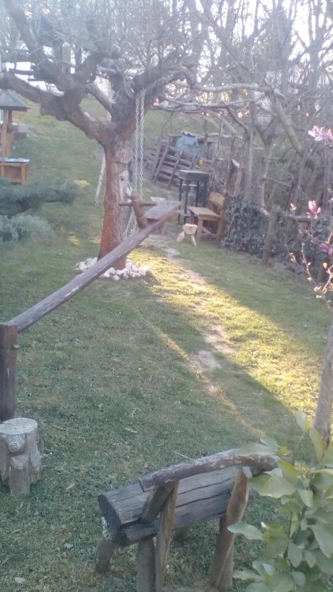 Photo 42