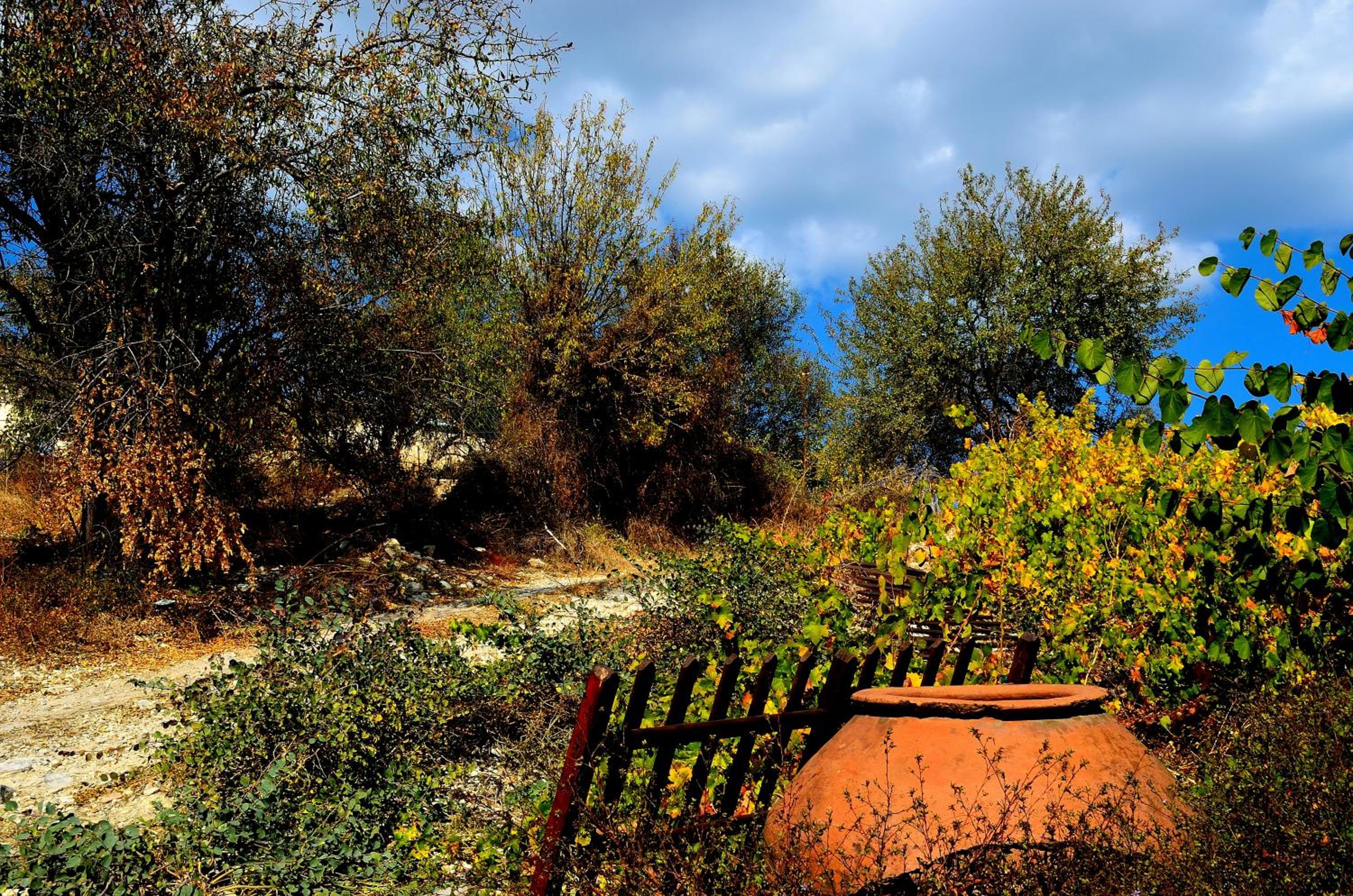 Omodos Katoi Holiday Homes