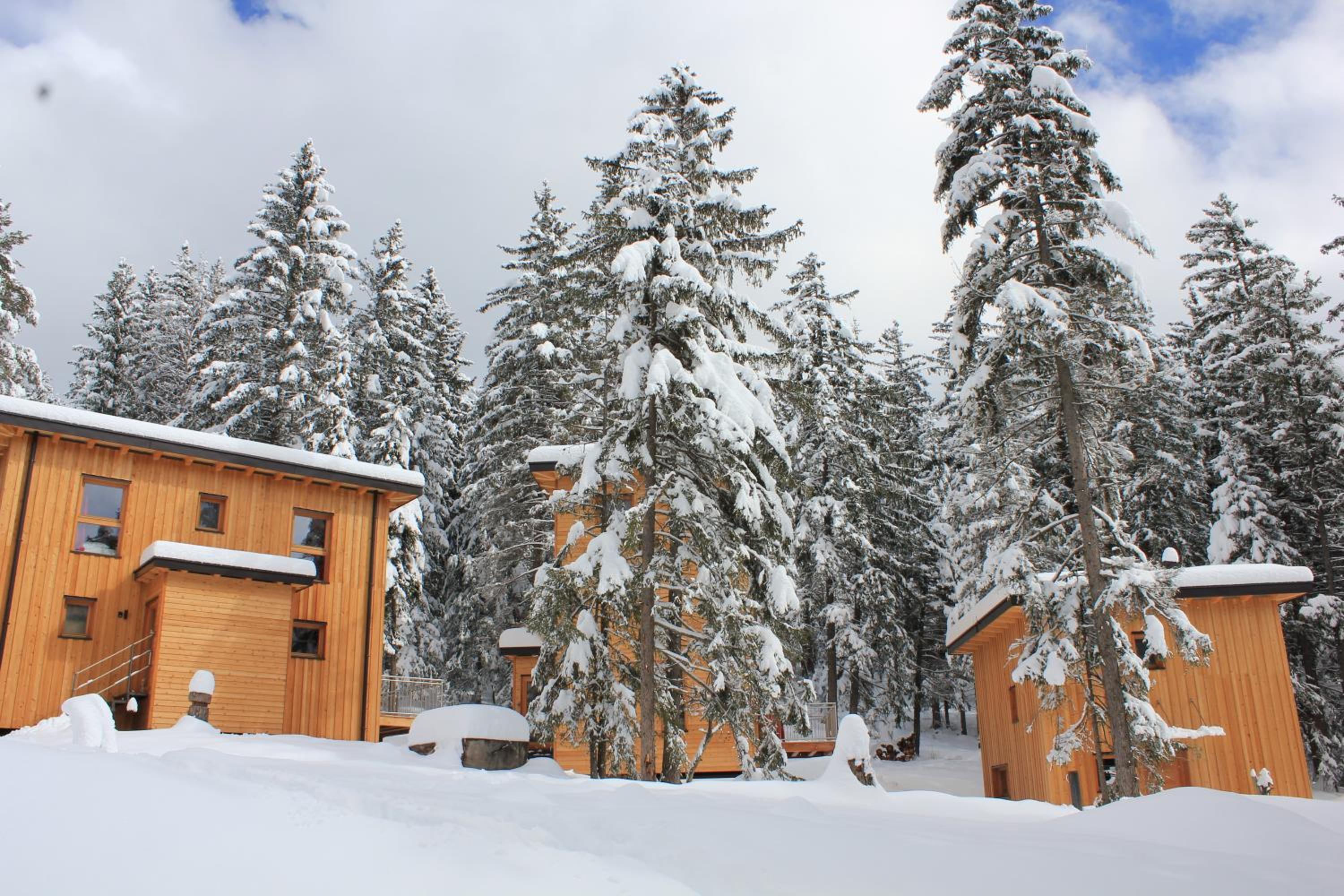 Forest Chalet Resort FELIZITAS