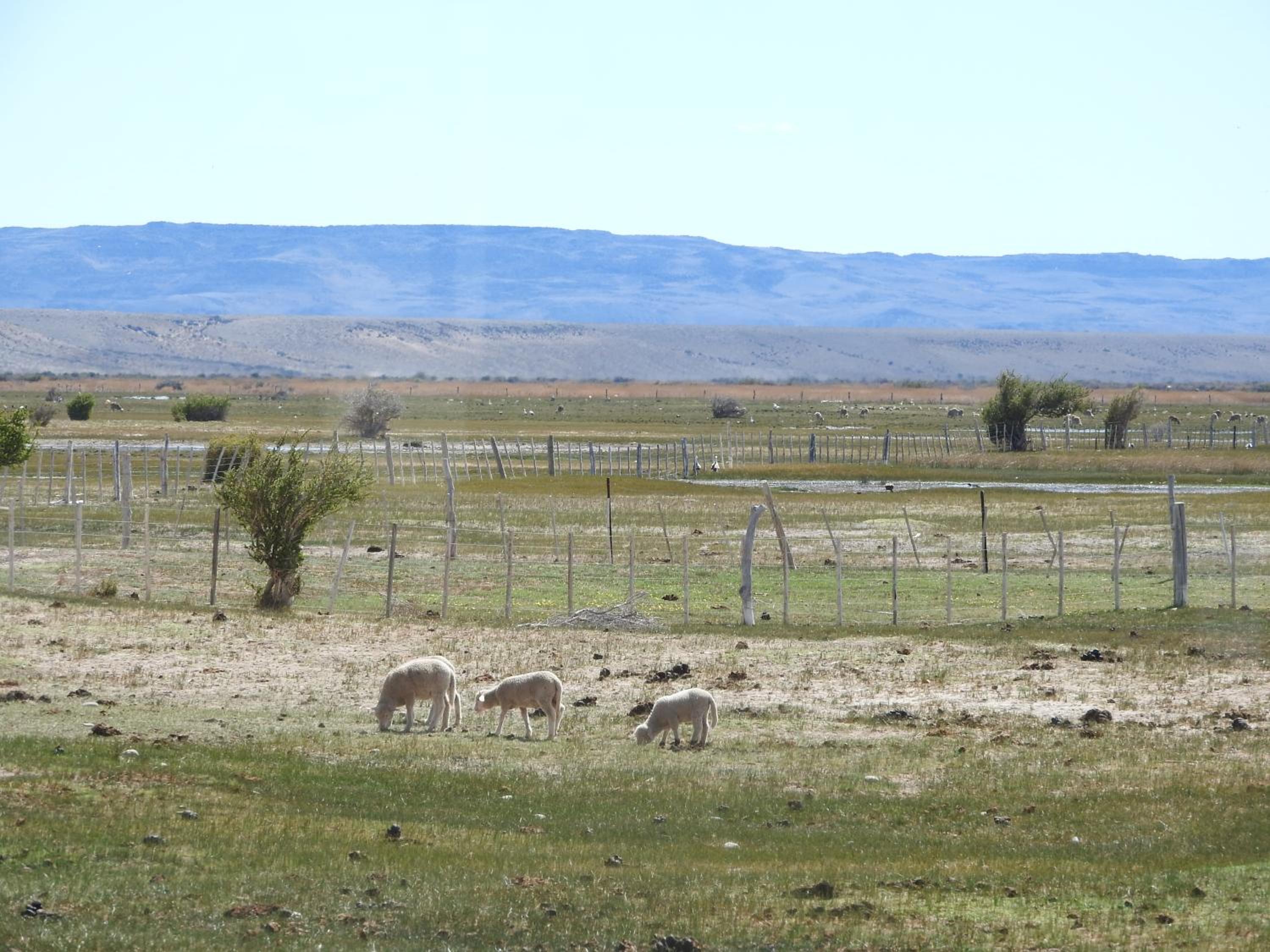 Estancia La Angostura