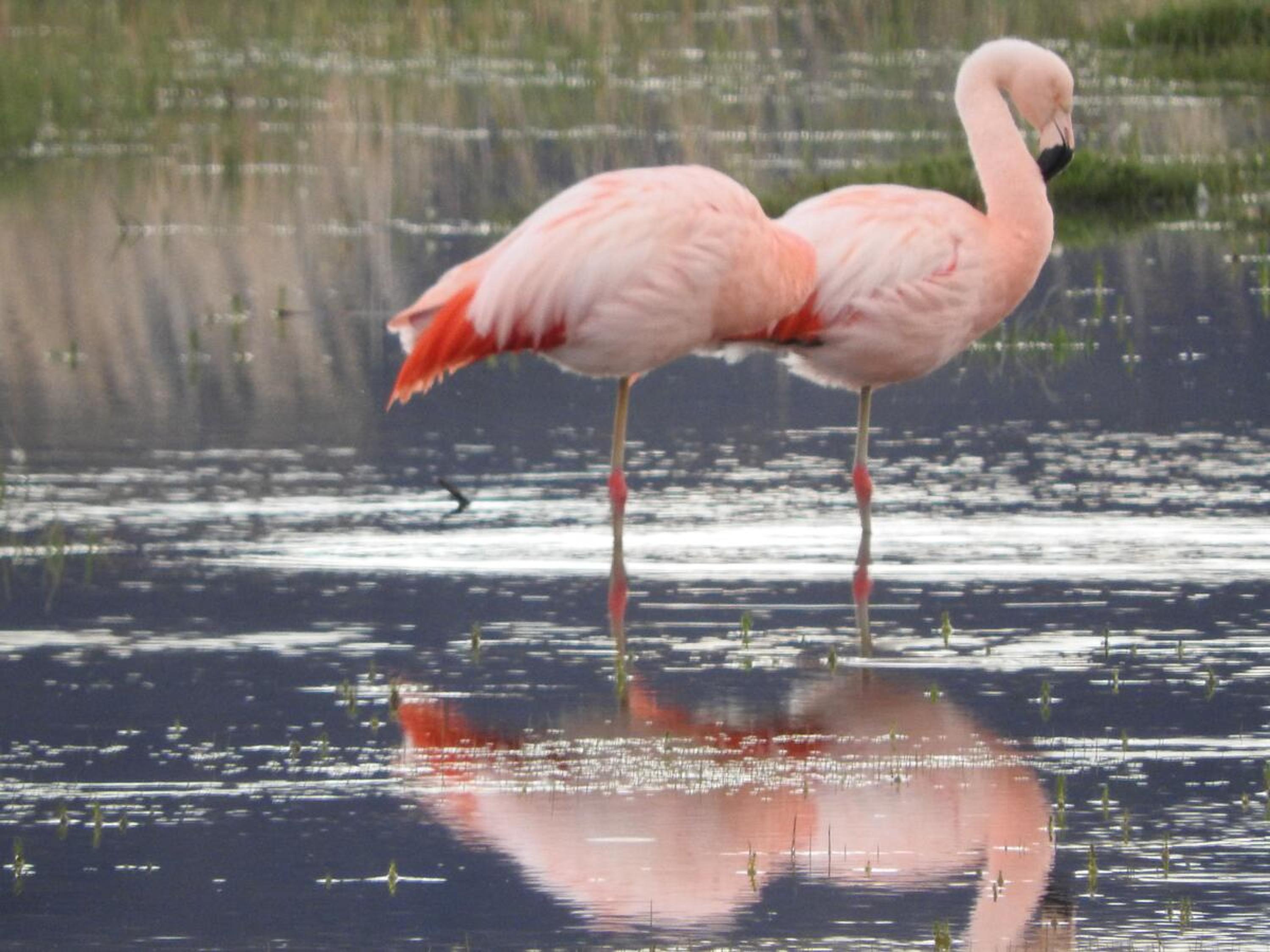 Estancia La Angostura