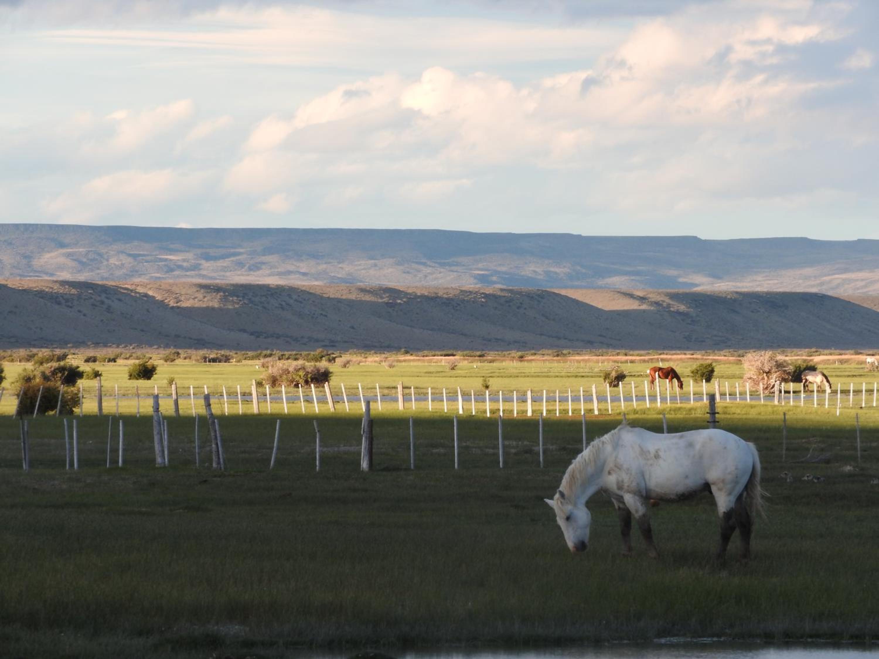 Estancia La Angostura
