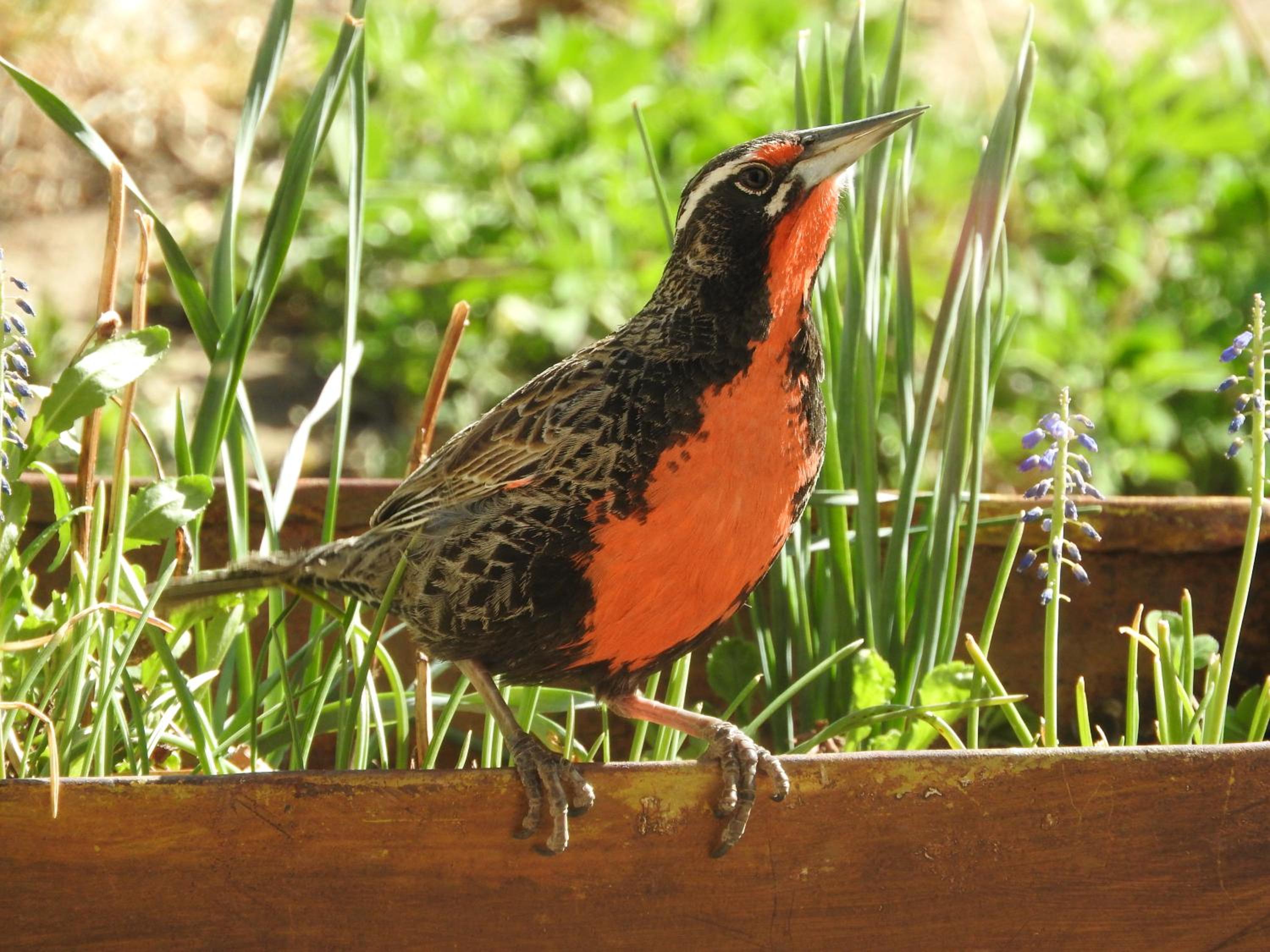 Estancia La Angostura