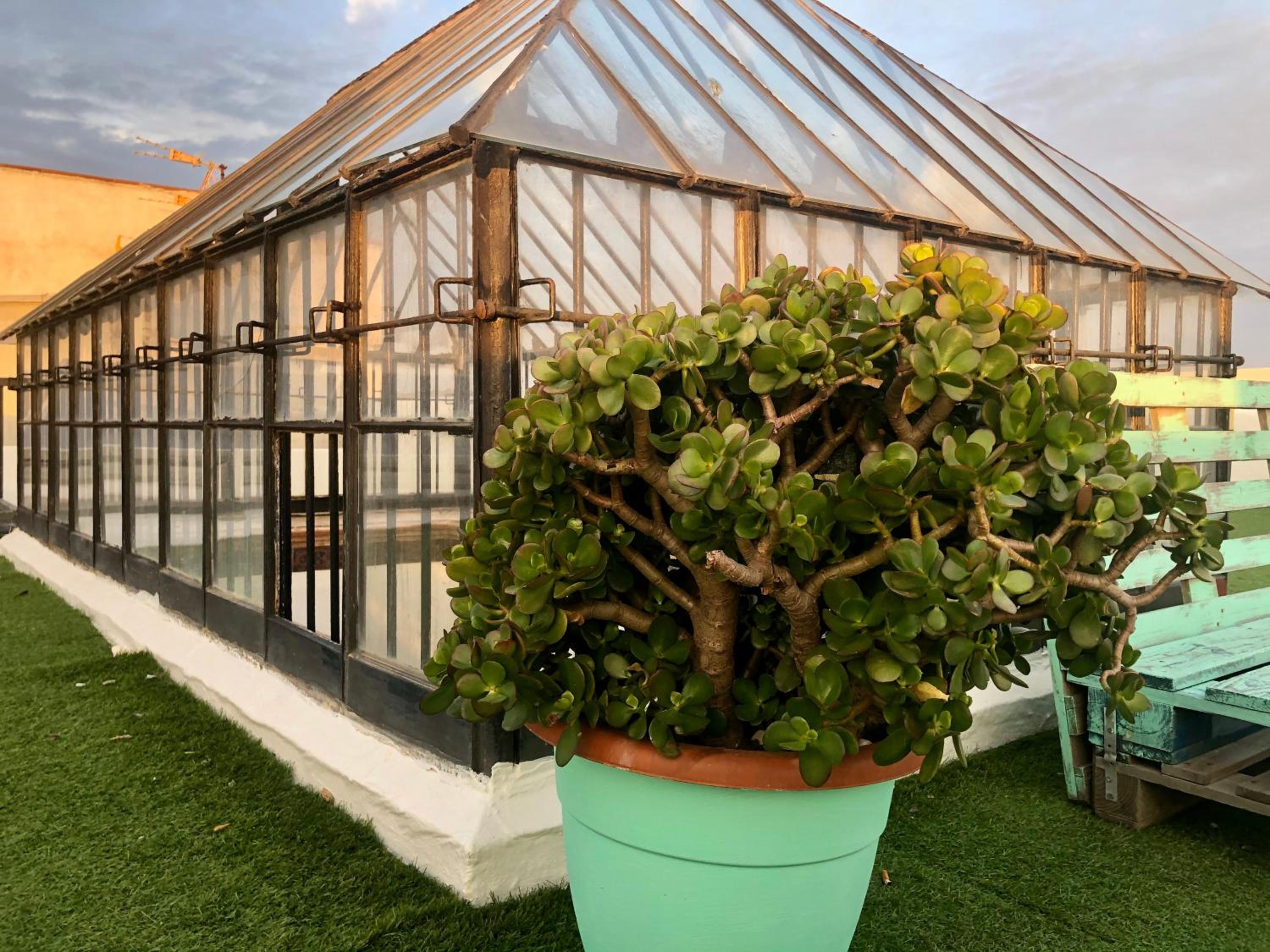 roof