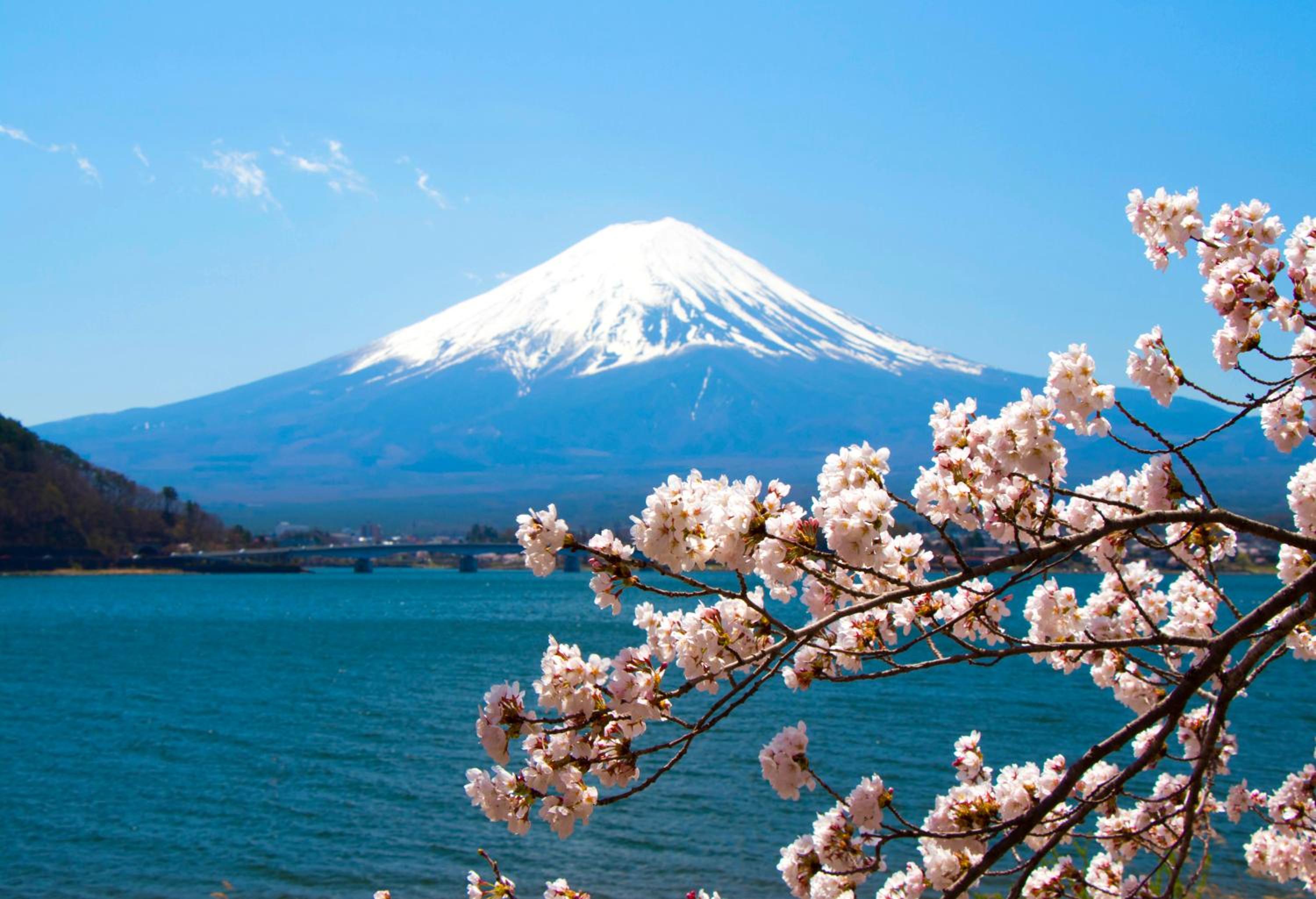 Erable Mt.Fuji "Zen" view 3