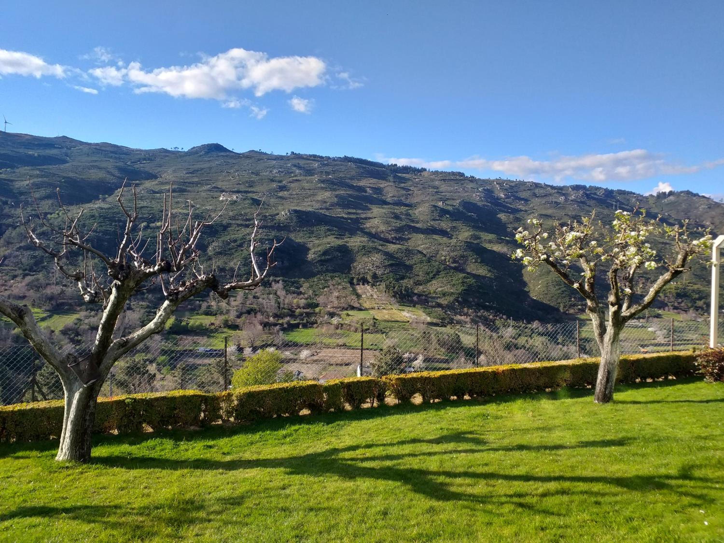 Quinta da Timpeira view 2