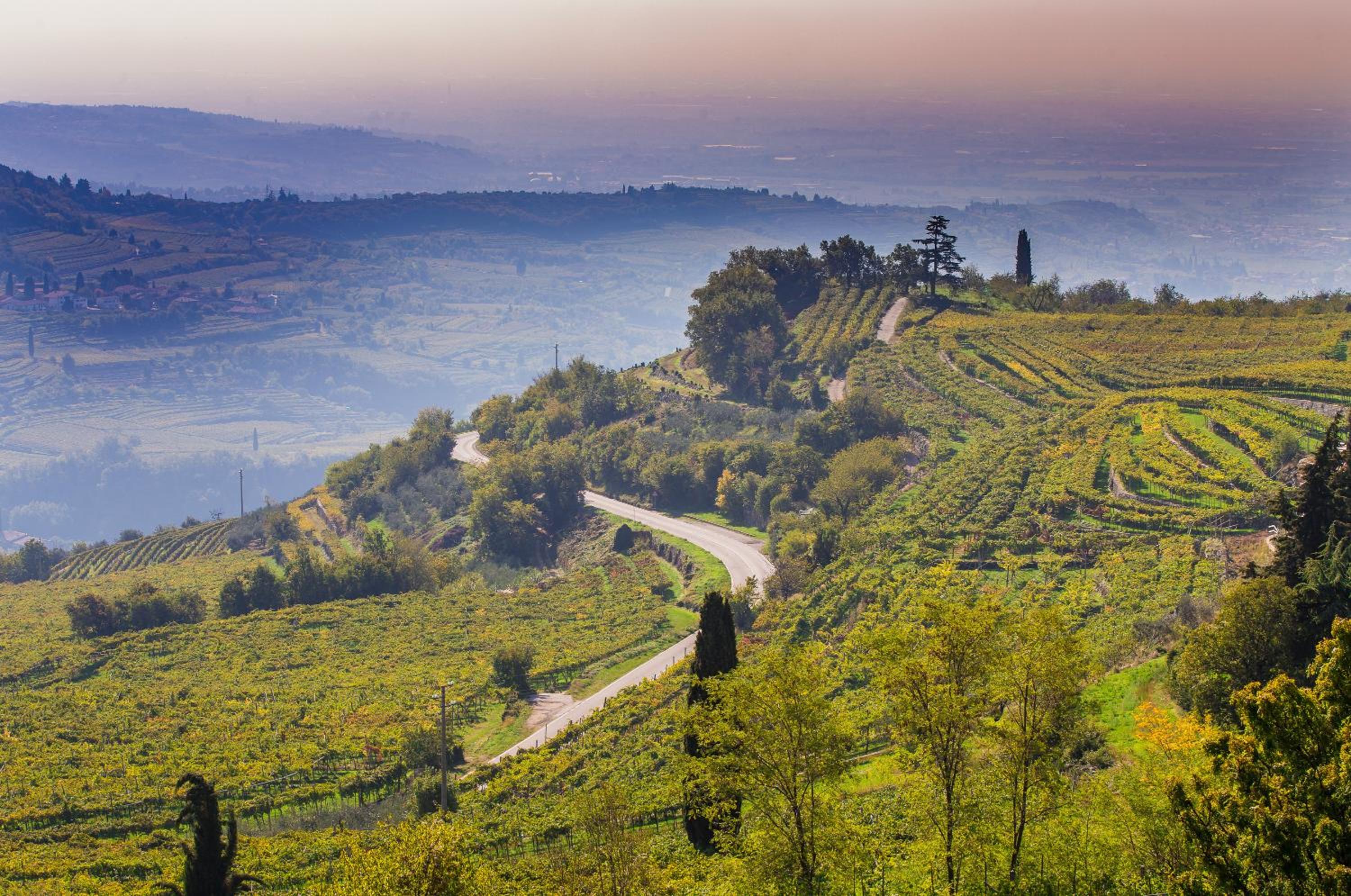Valpolicella Homes Recioto Apartment view 2