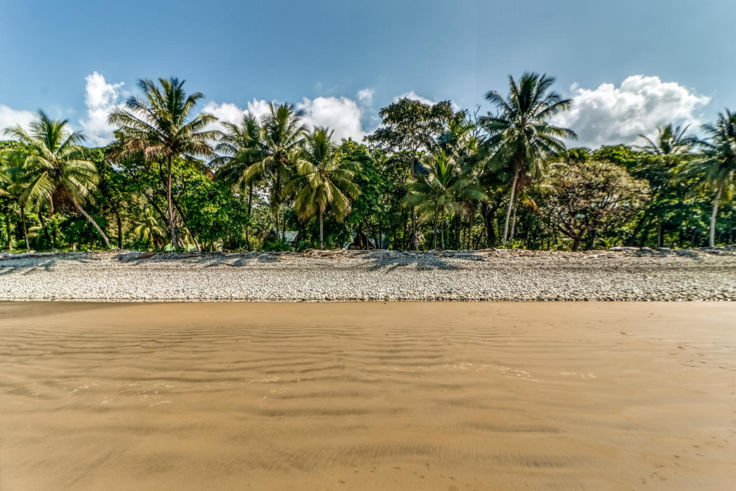 El Ballenato de Bahia
