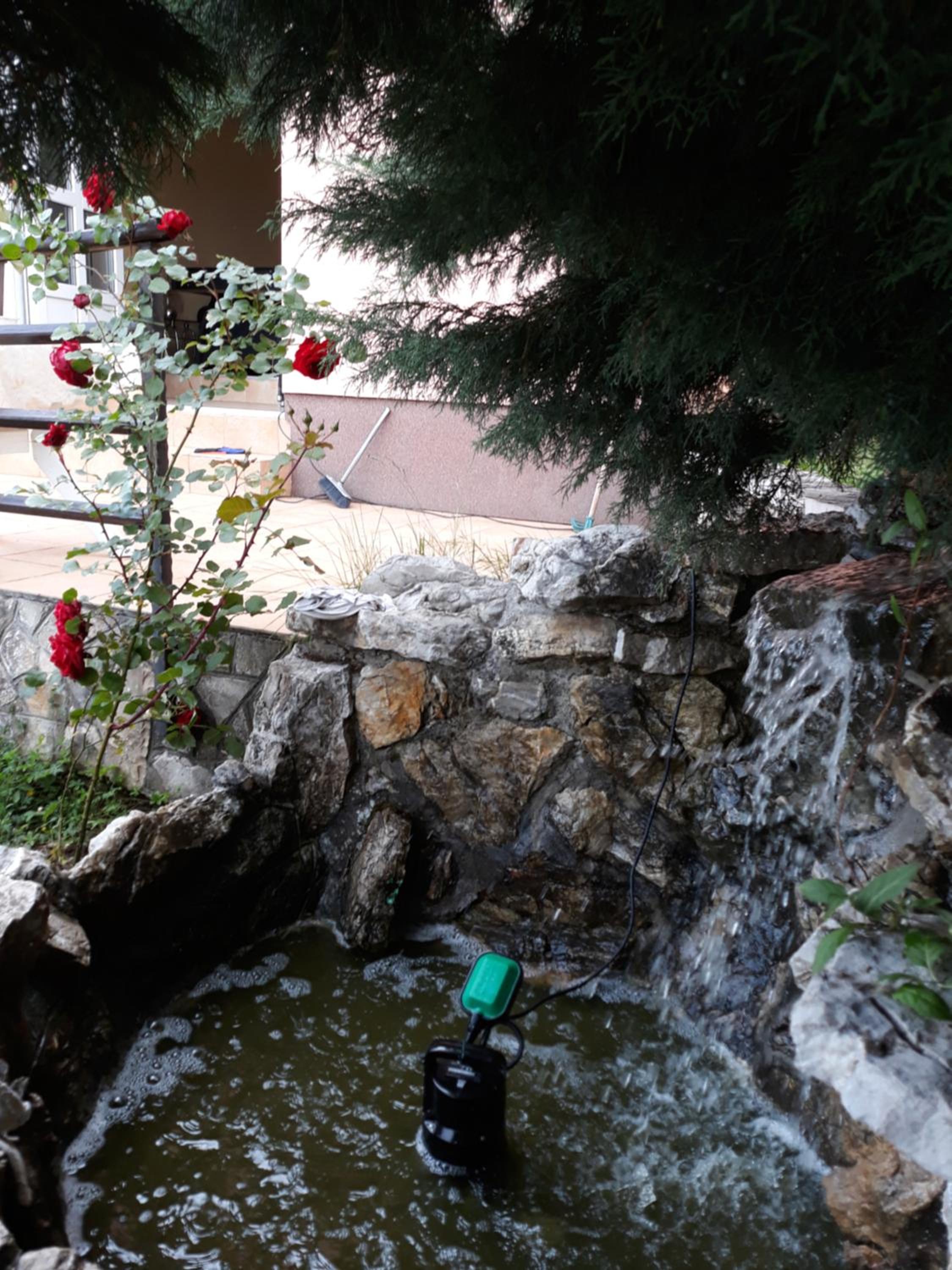 Photo 31