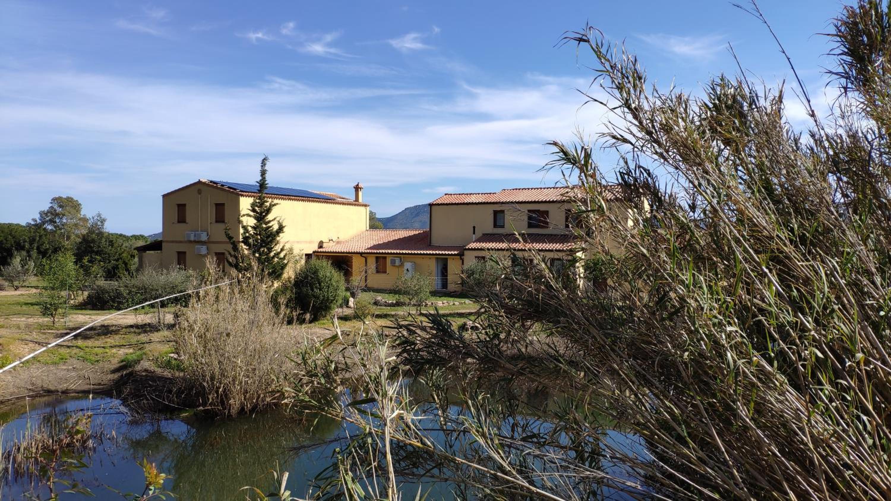 TerreMesu Eco Country House with Pool 6 10 Guests near Costa Rei Castiadas view 5