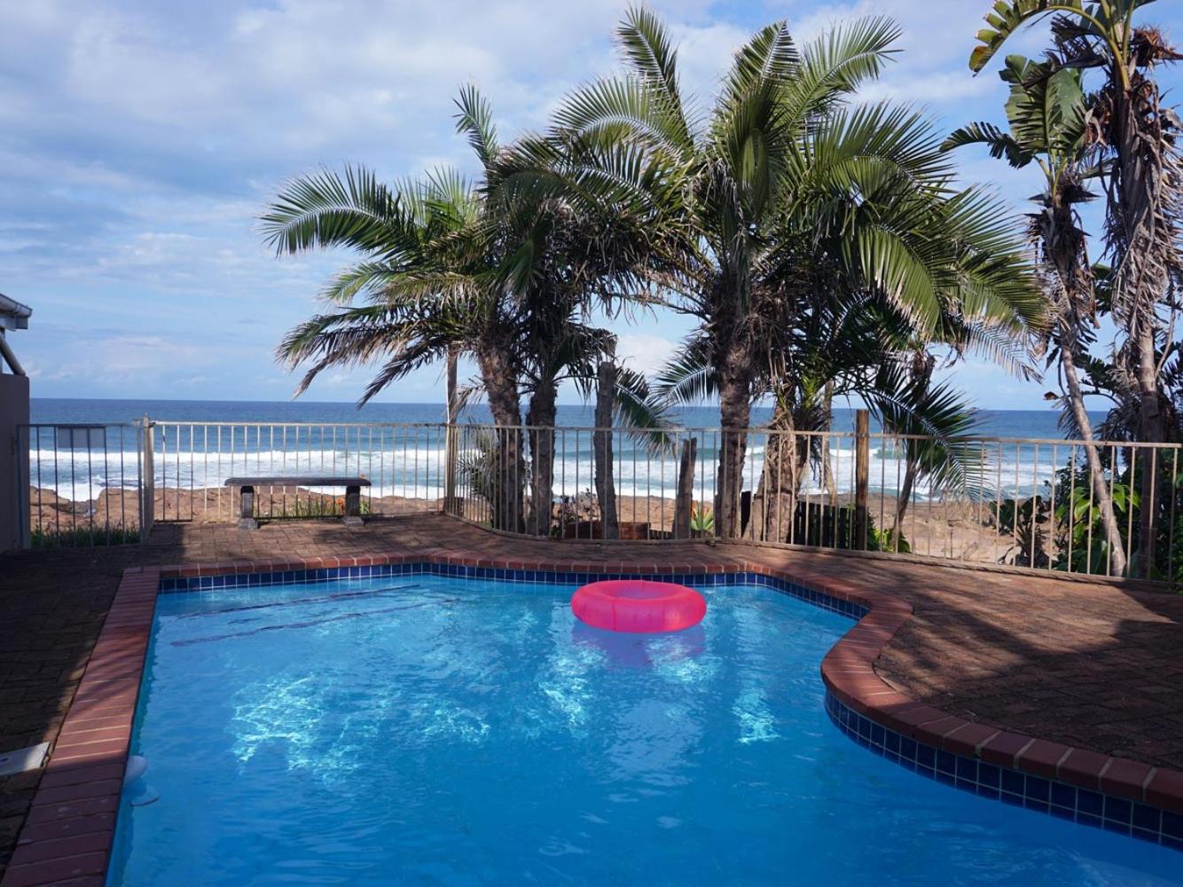 Southern Comfort - Starfish view 4
