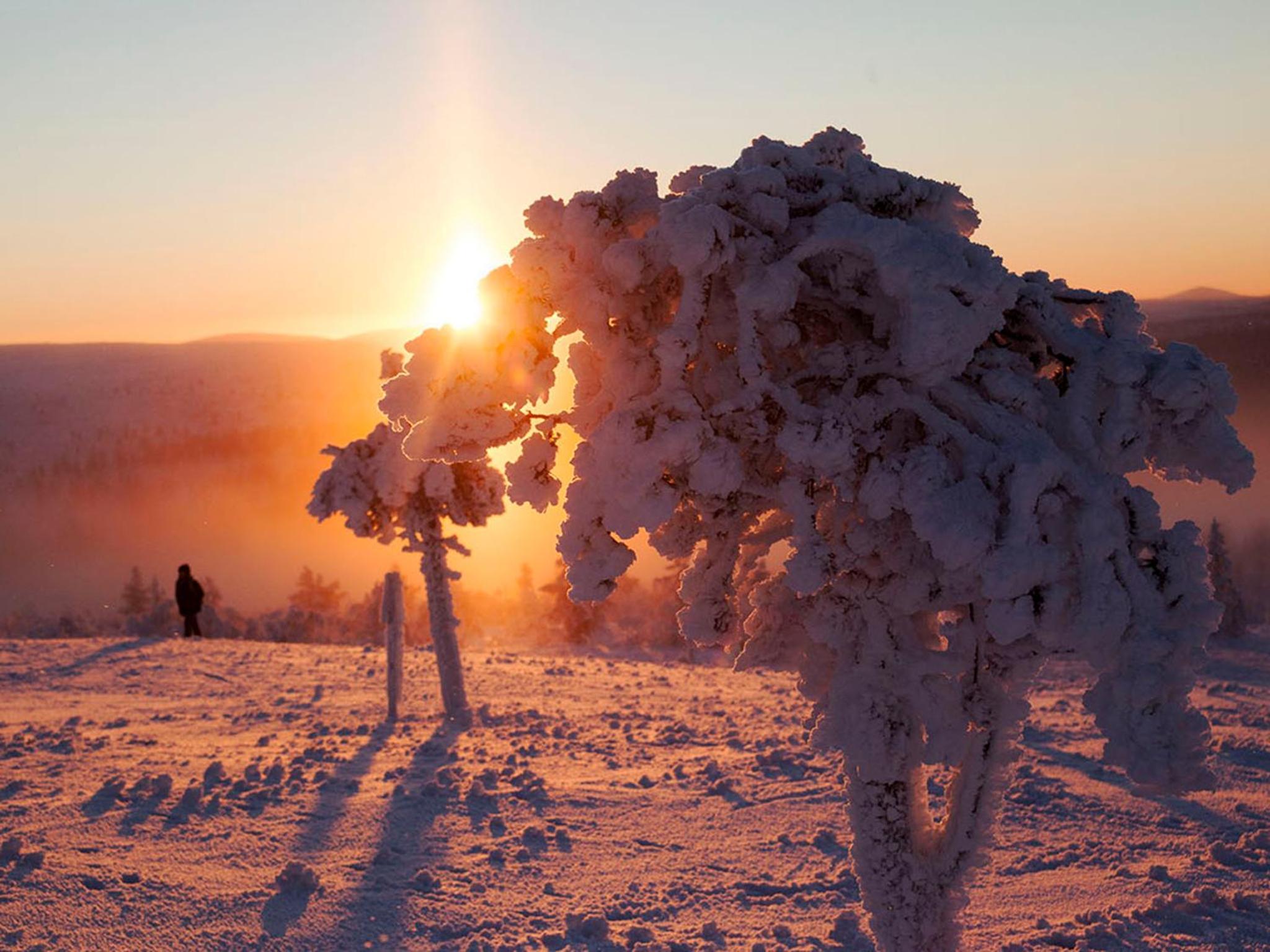 Saariselkä Inn Majatalo Panimo