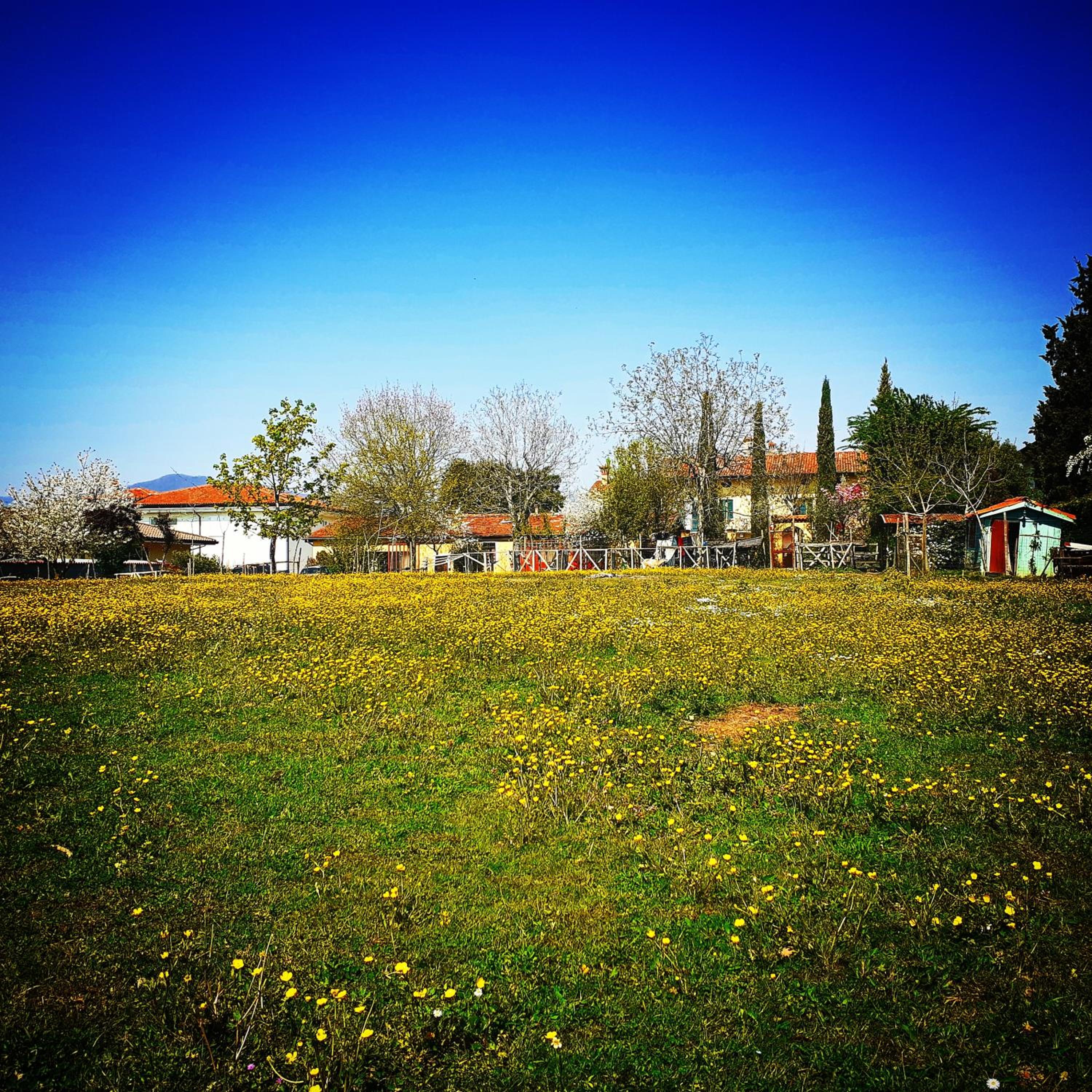 Photo 35