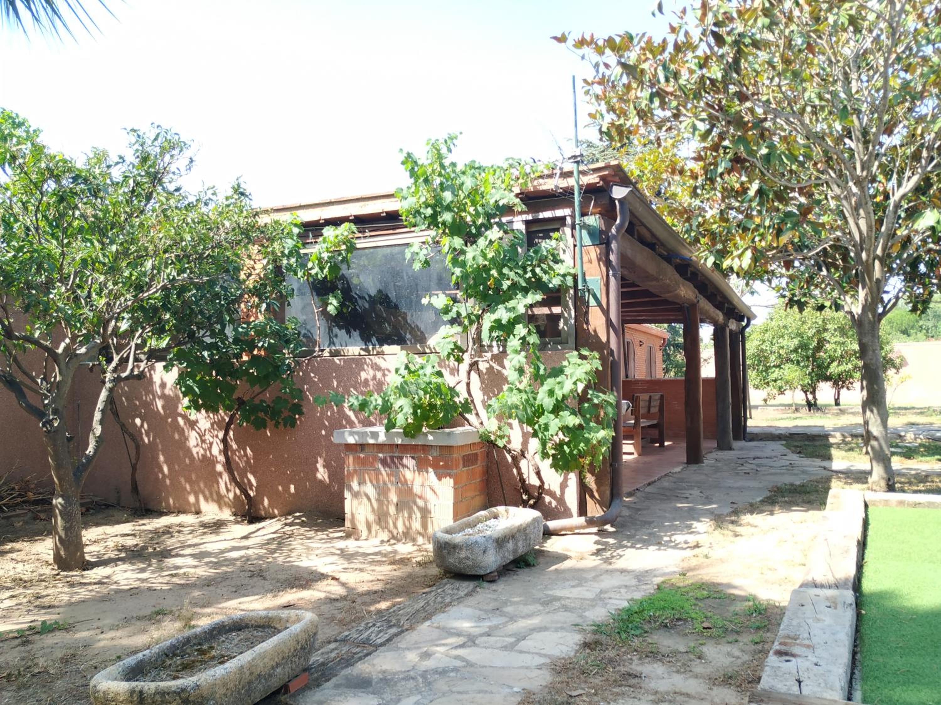 Photo 30