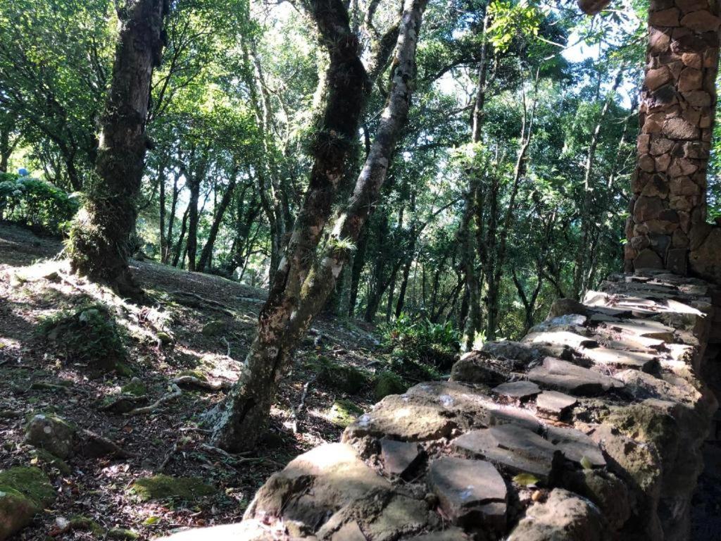 Refúgio da natureza