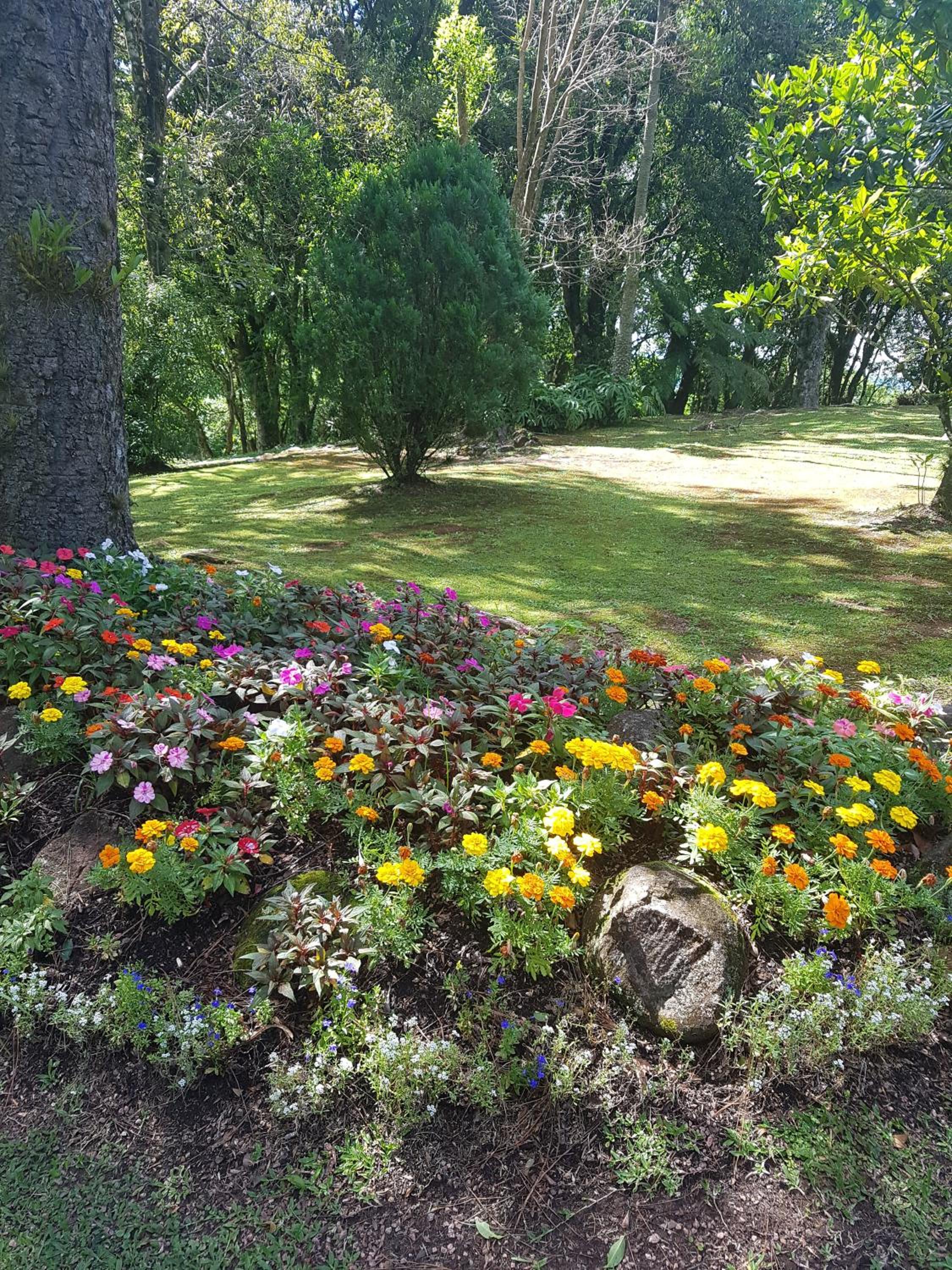 Refúgio da natureza