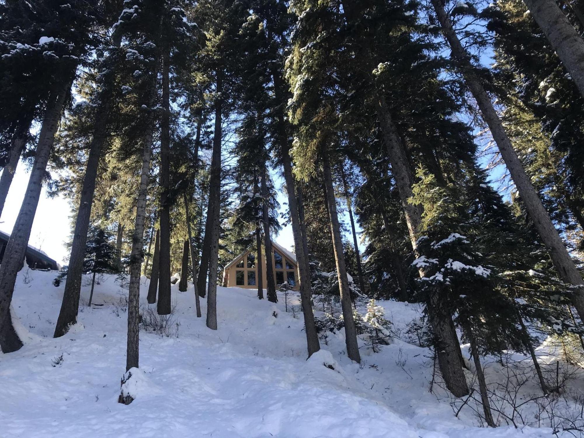 Carlson Cabin by Casago McCall - Donerightmanagement view 5