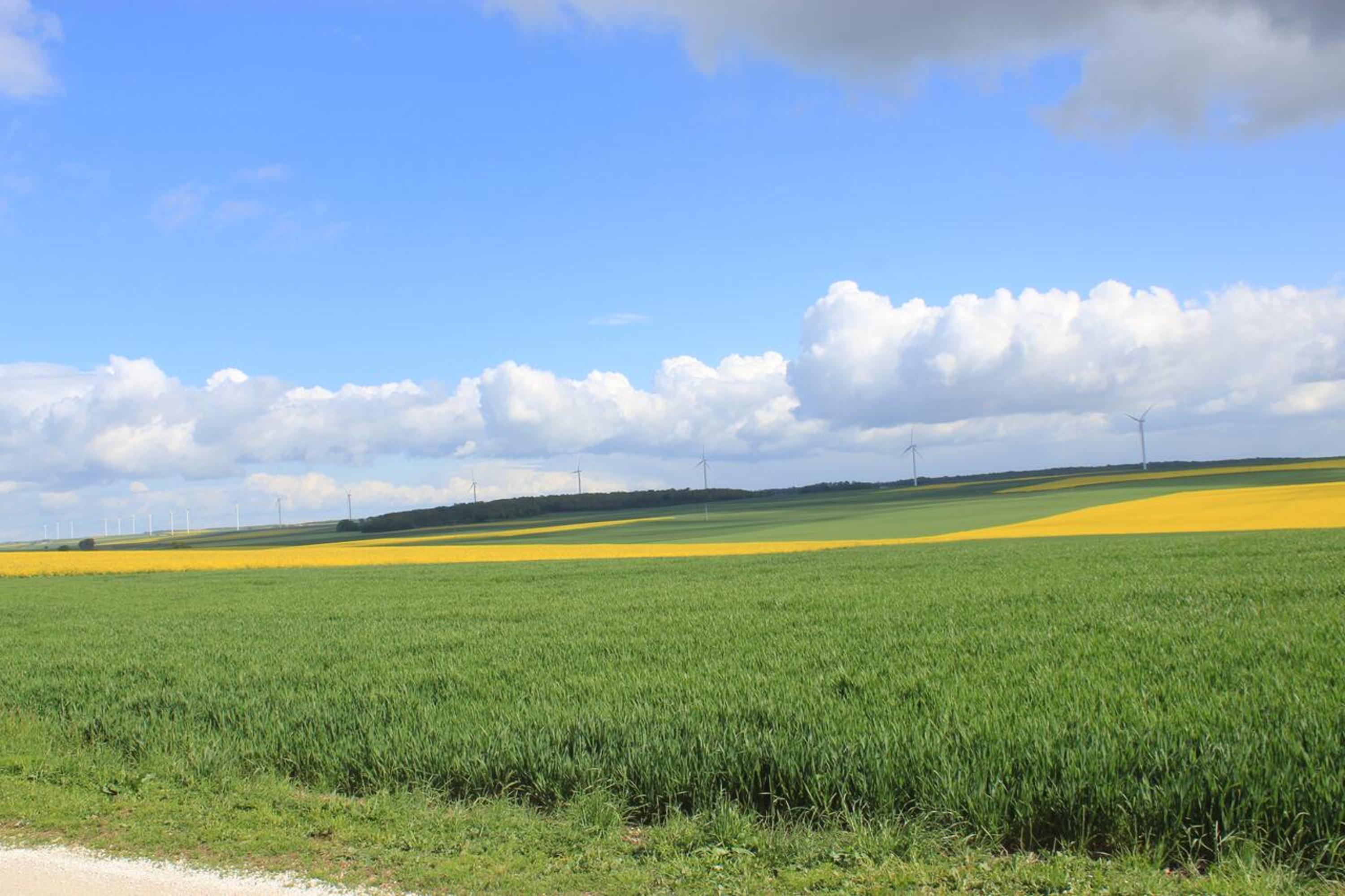 LES BOIS DE CHAMPAGNE NORDIQUE