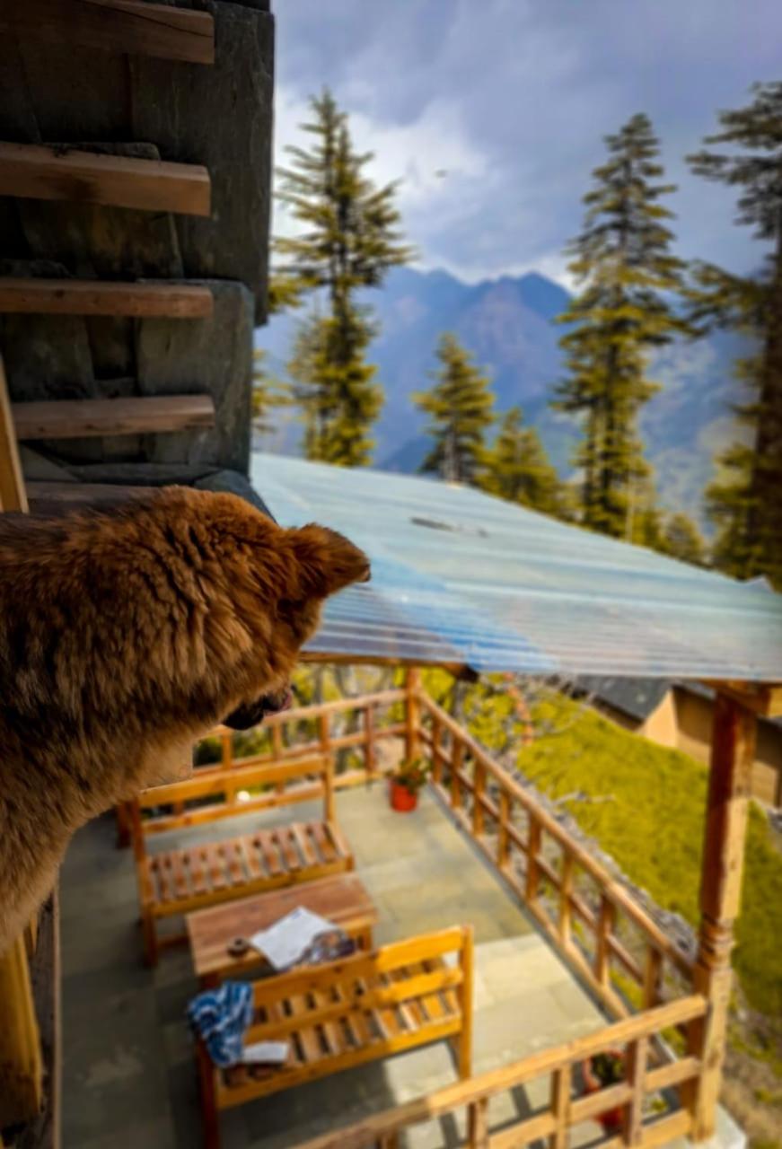 Ishan Log Huts-A boutique home stay