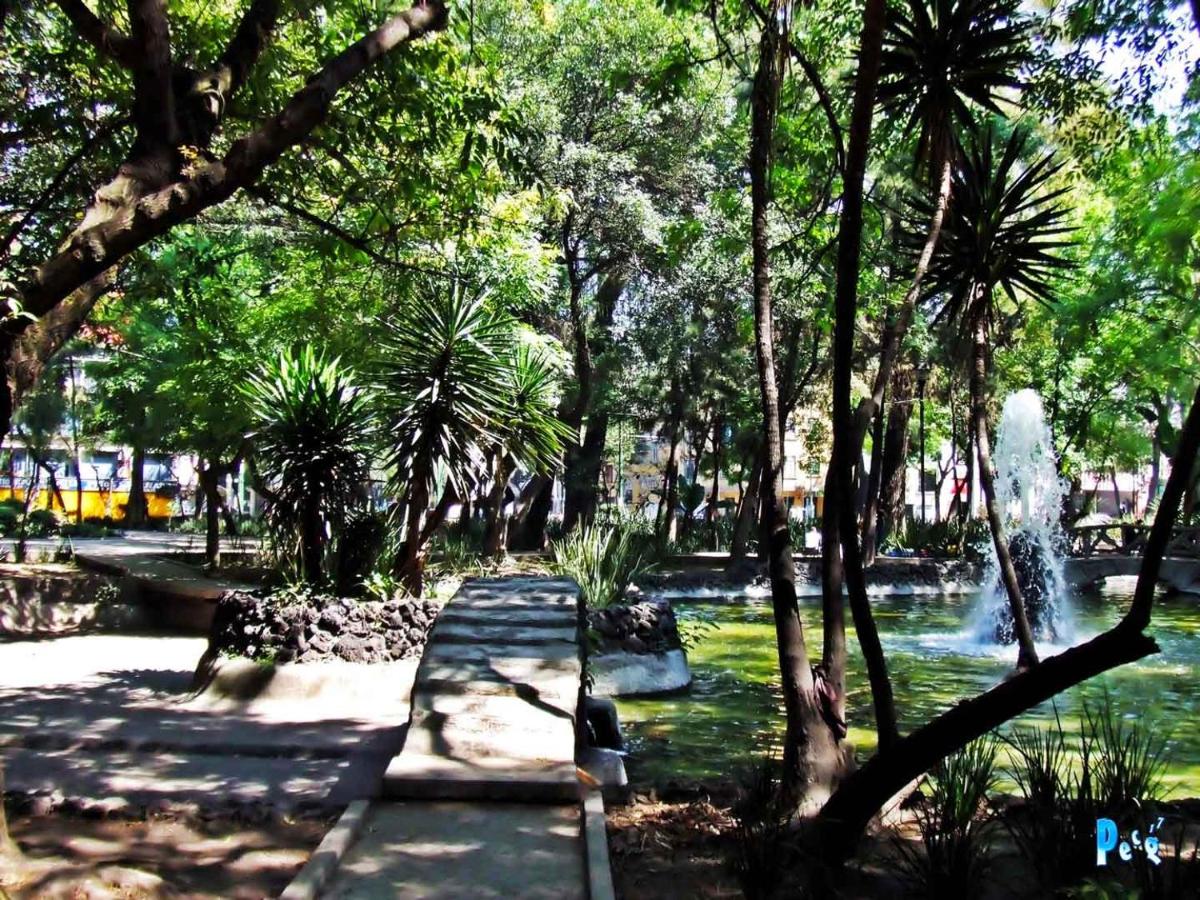 garden