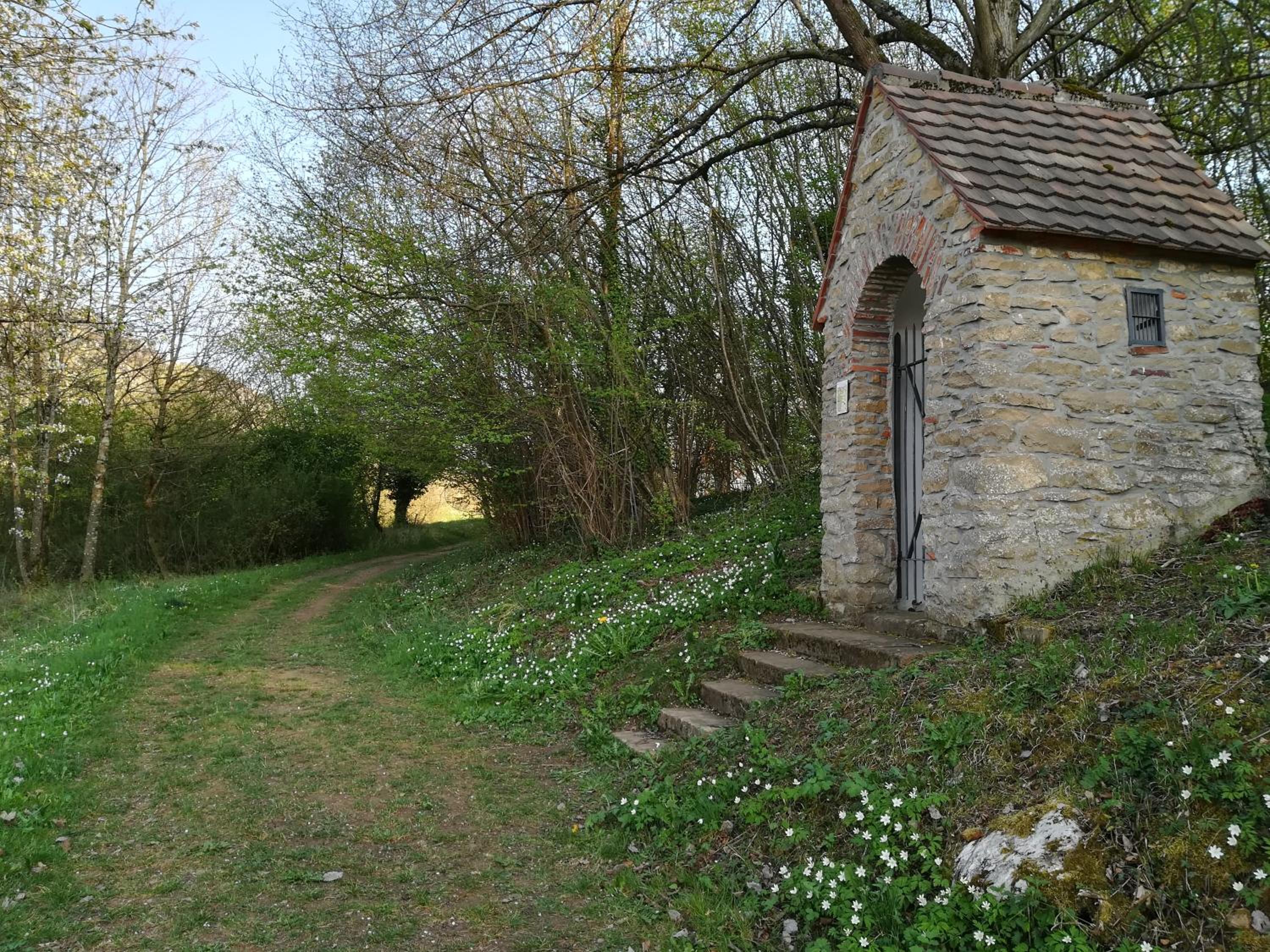 Photo 8