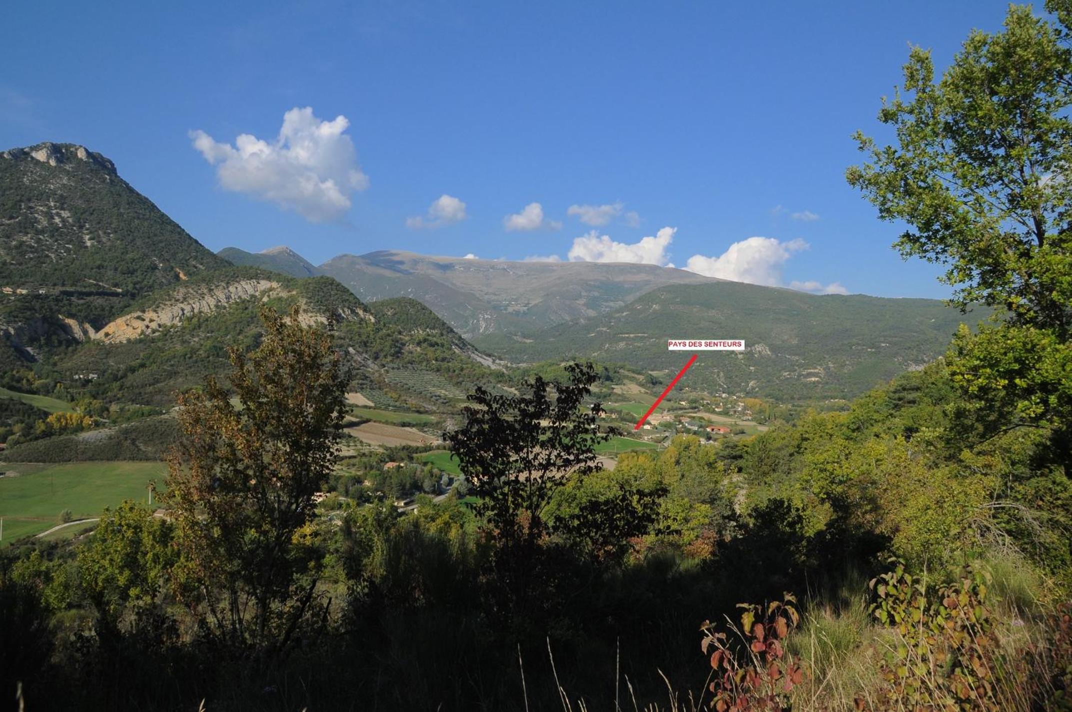 Photo 46