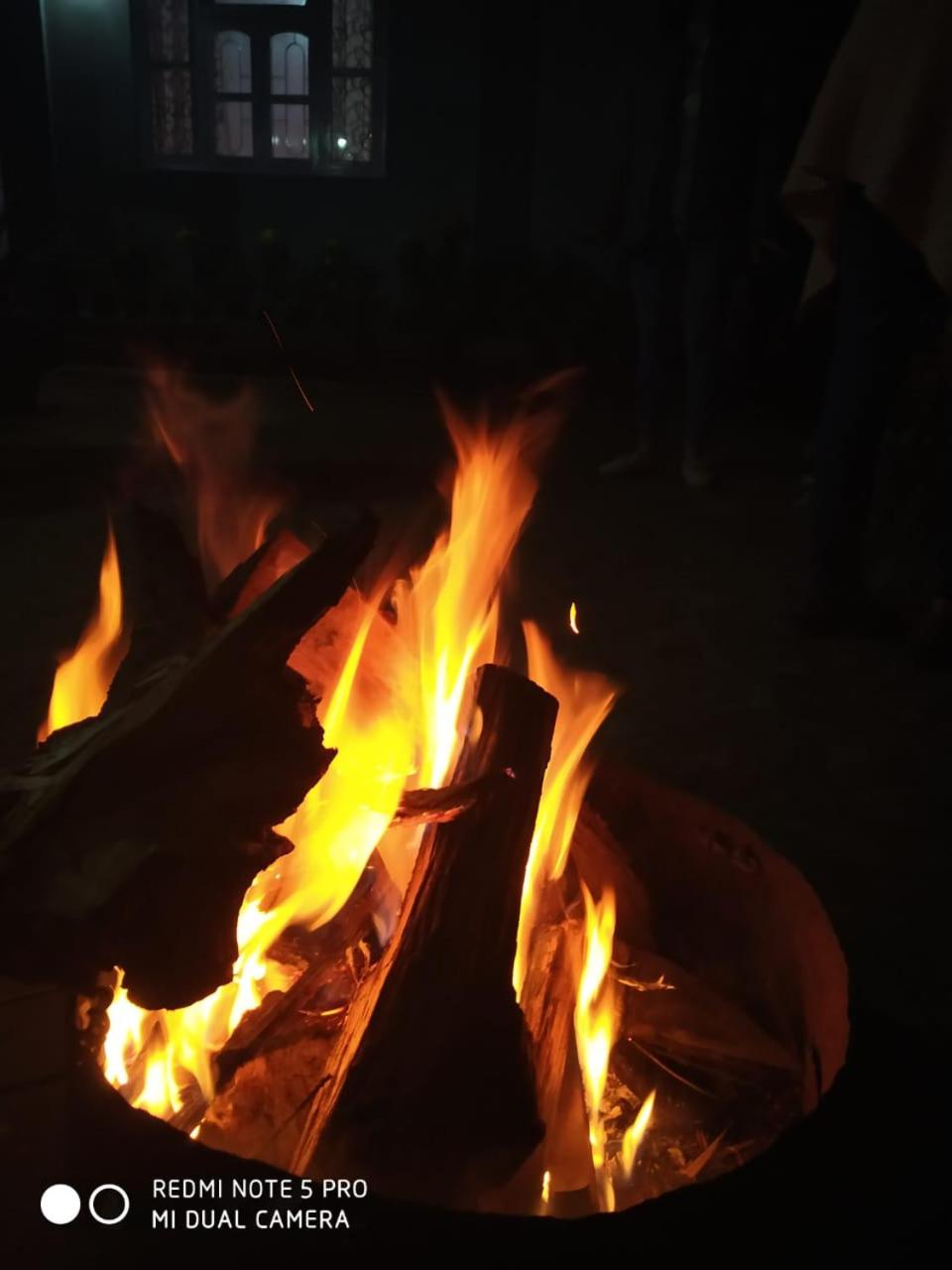 Photo 7