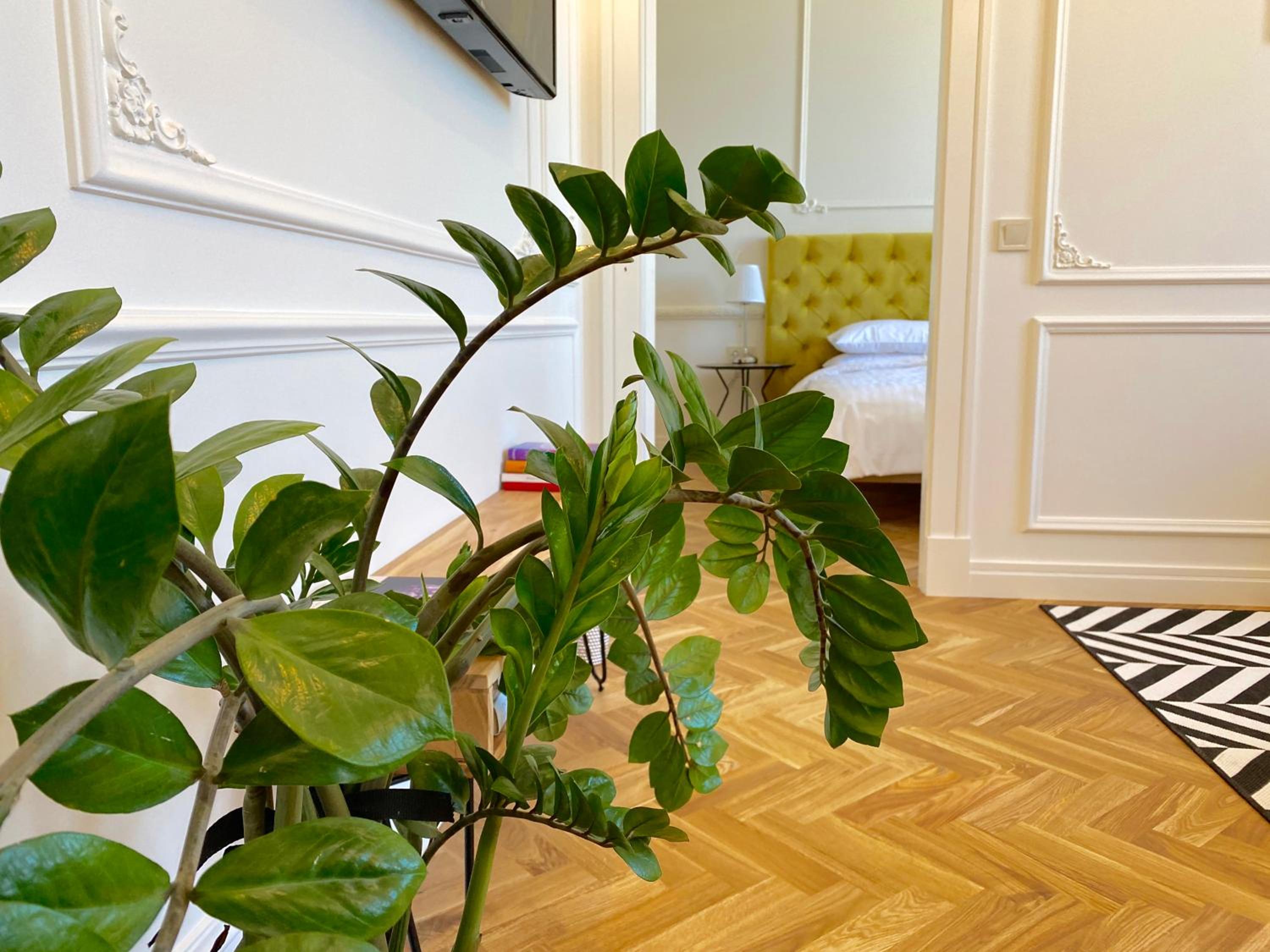 Glamour apartment