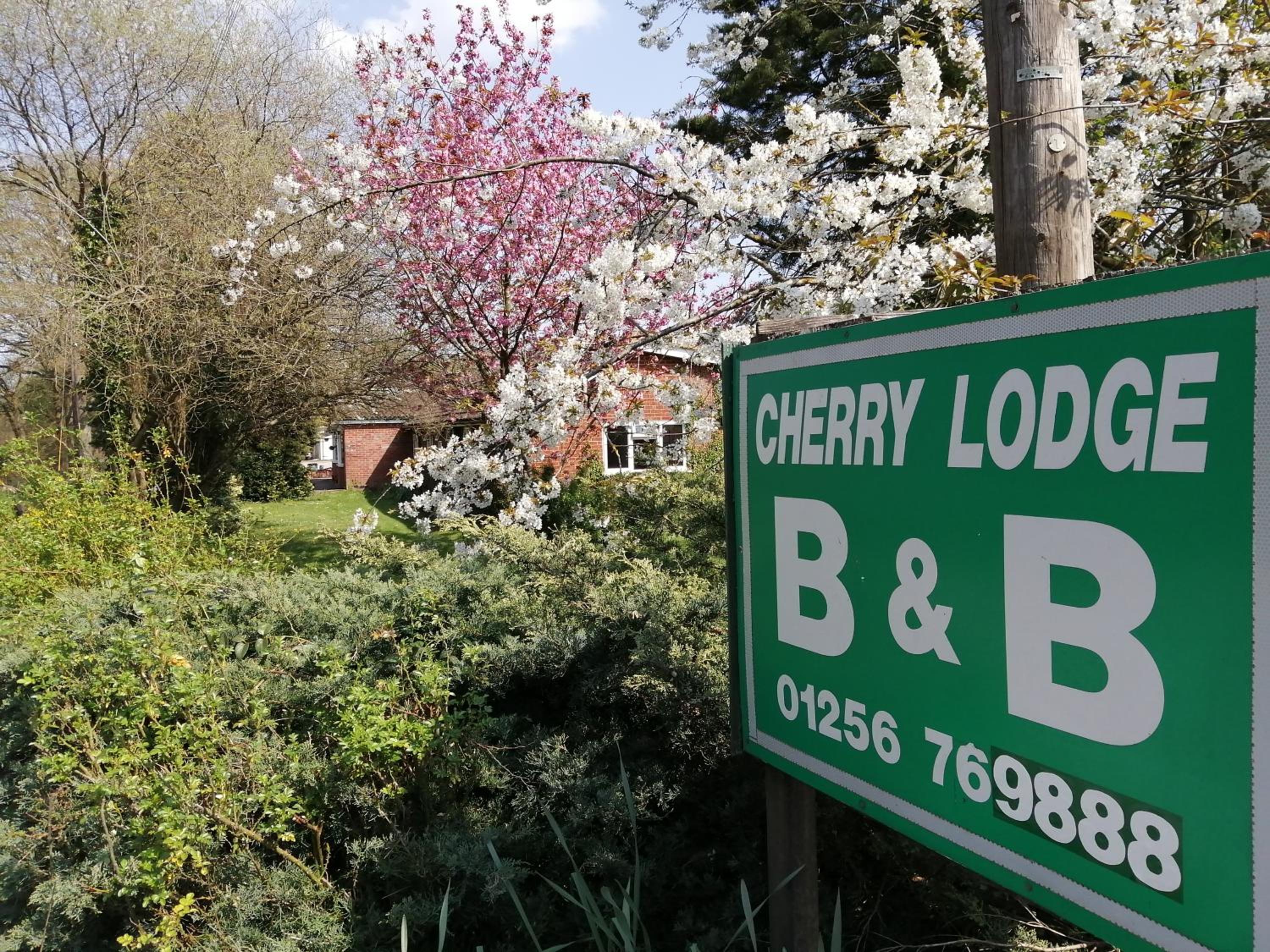 Cherry Lodge view 2