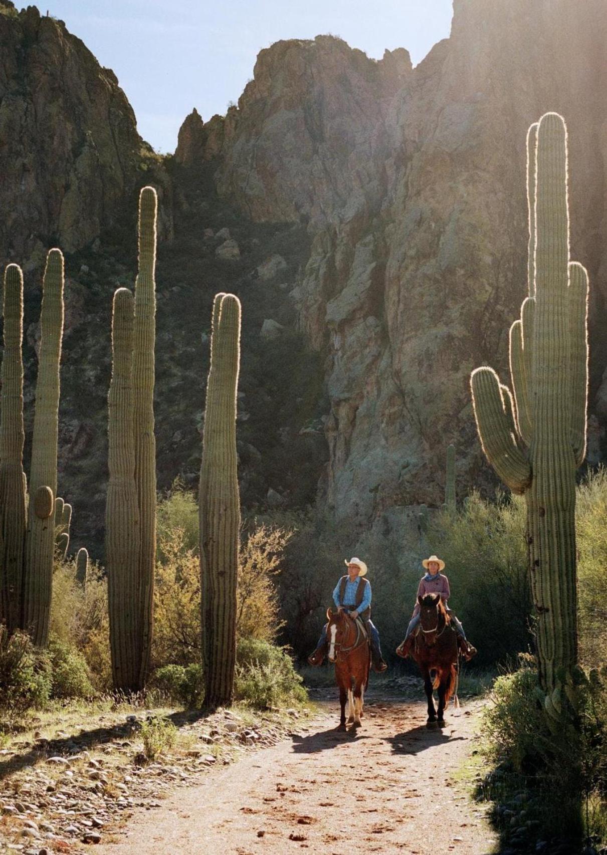 Saguaro Lake Ranch