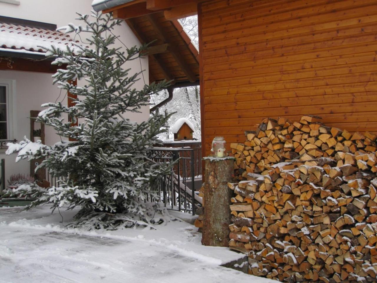 Photo 41