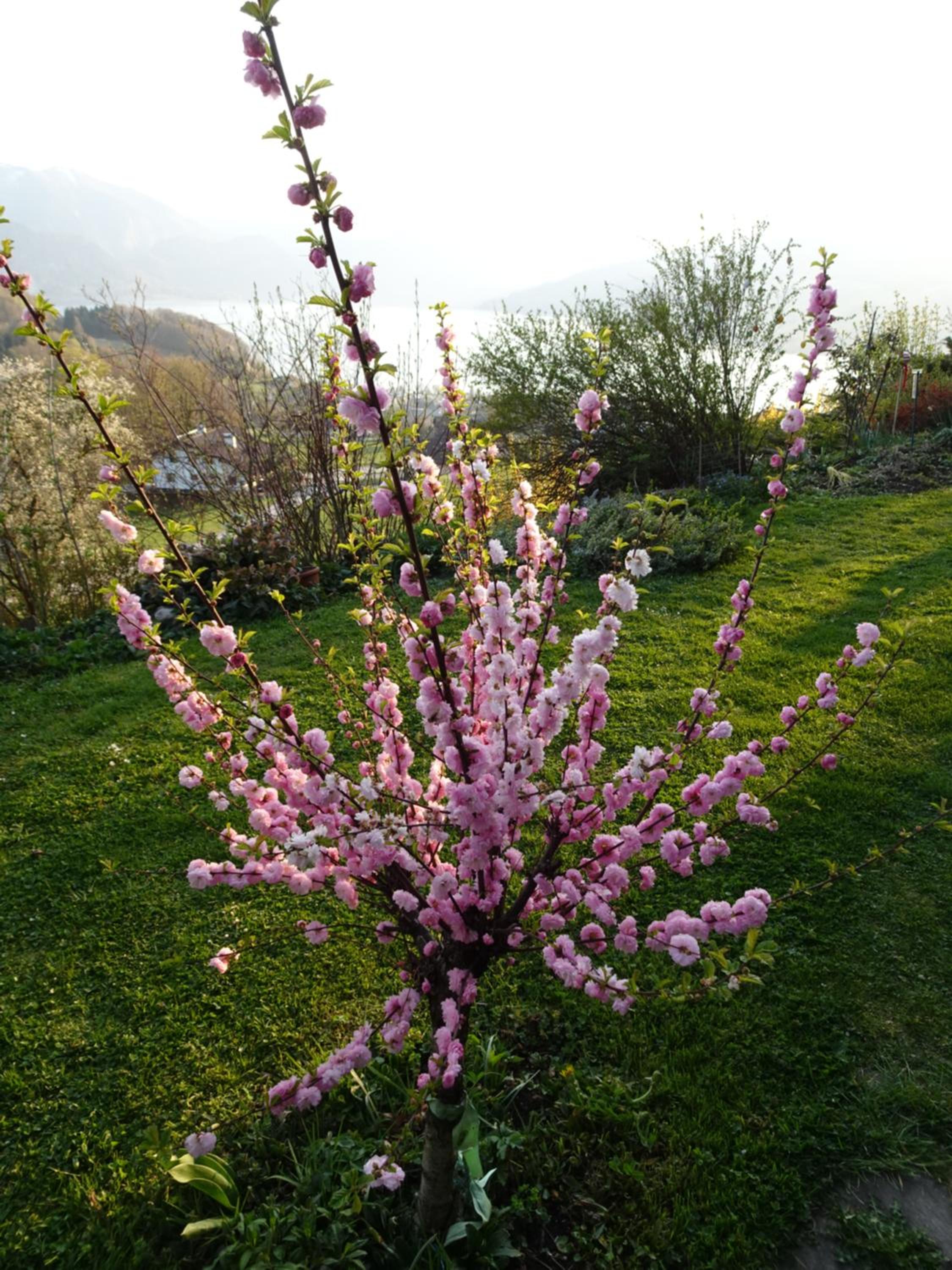 Biohof Schwanser
