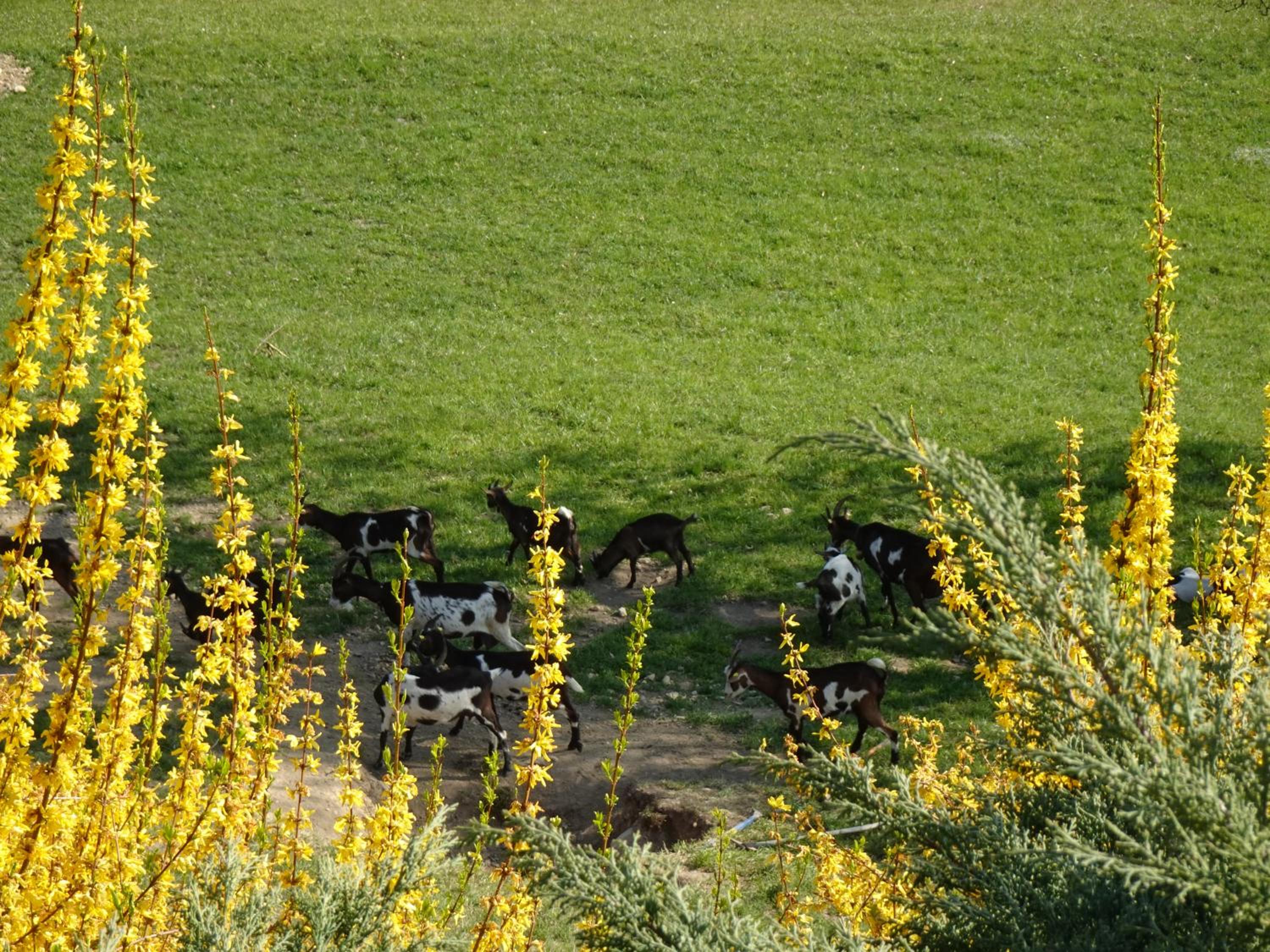 Biohof Schwanser