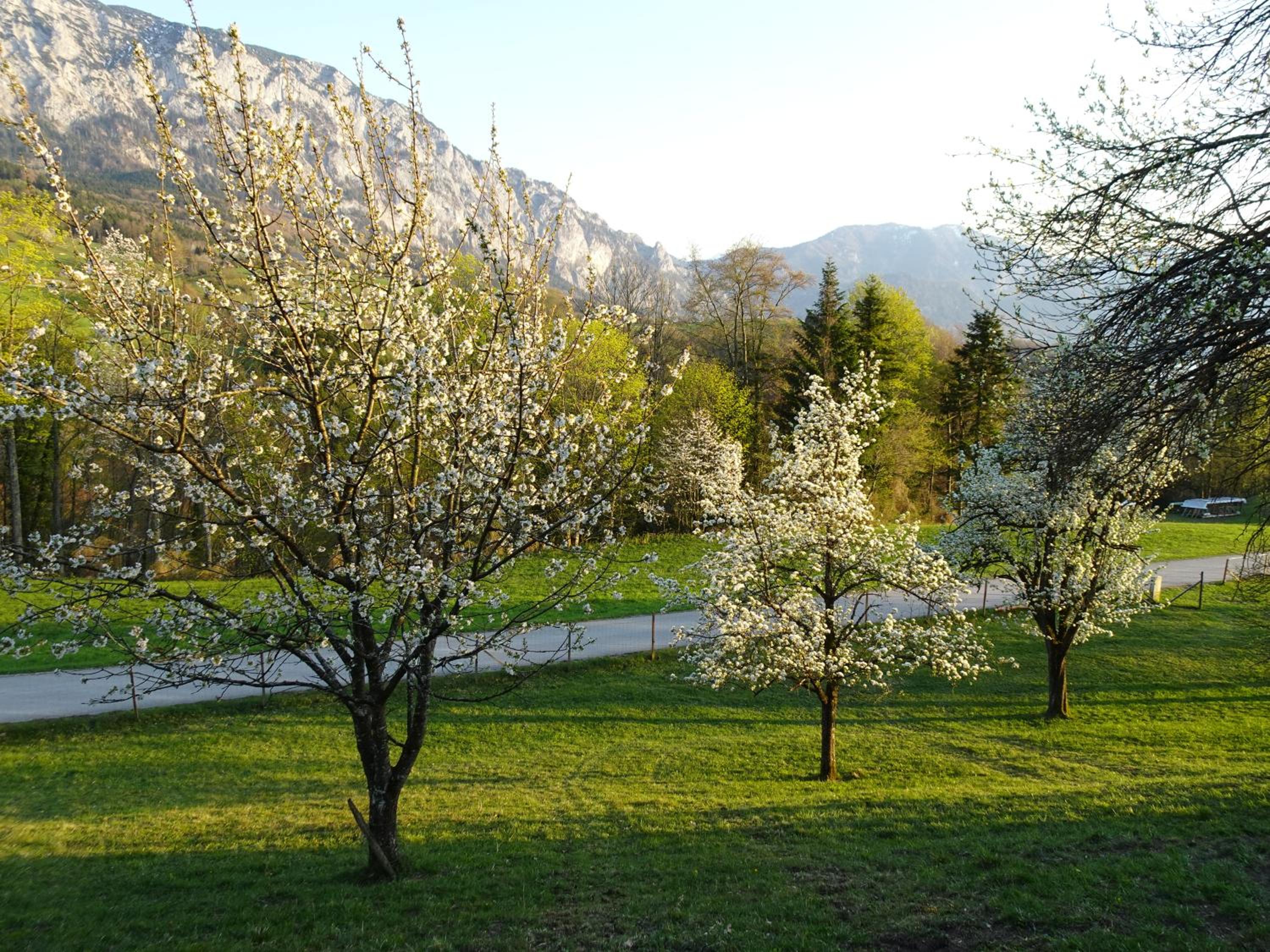 Biohof Schwanser