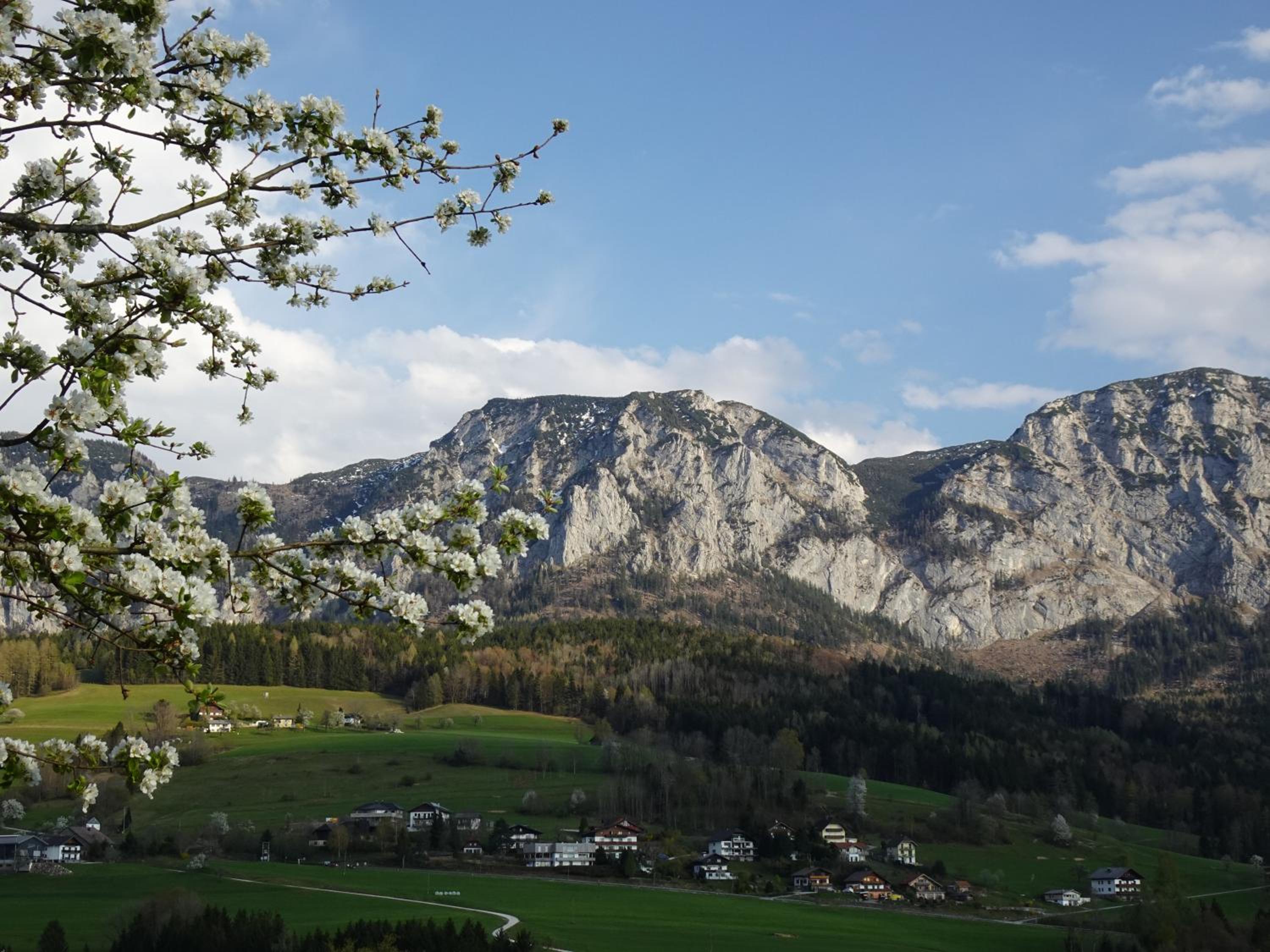 Biohof Schwanser