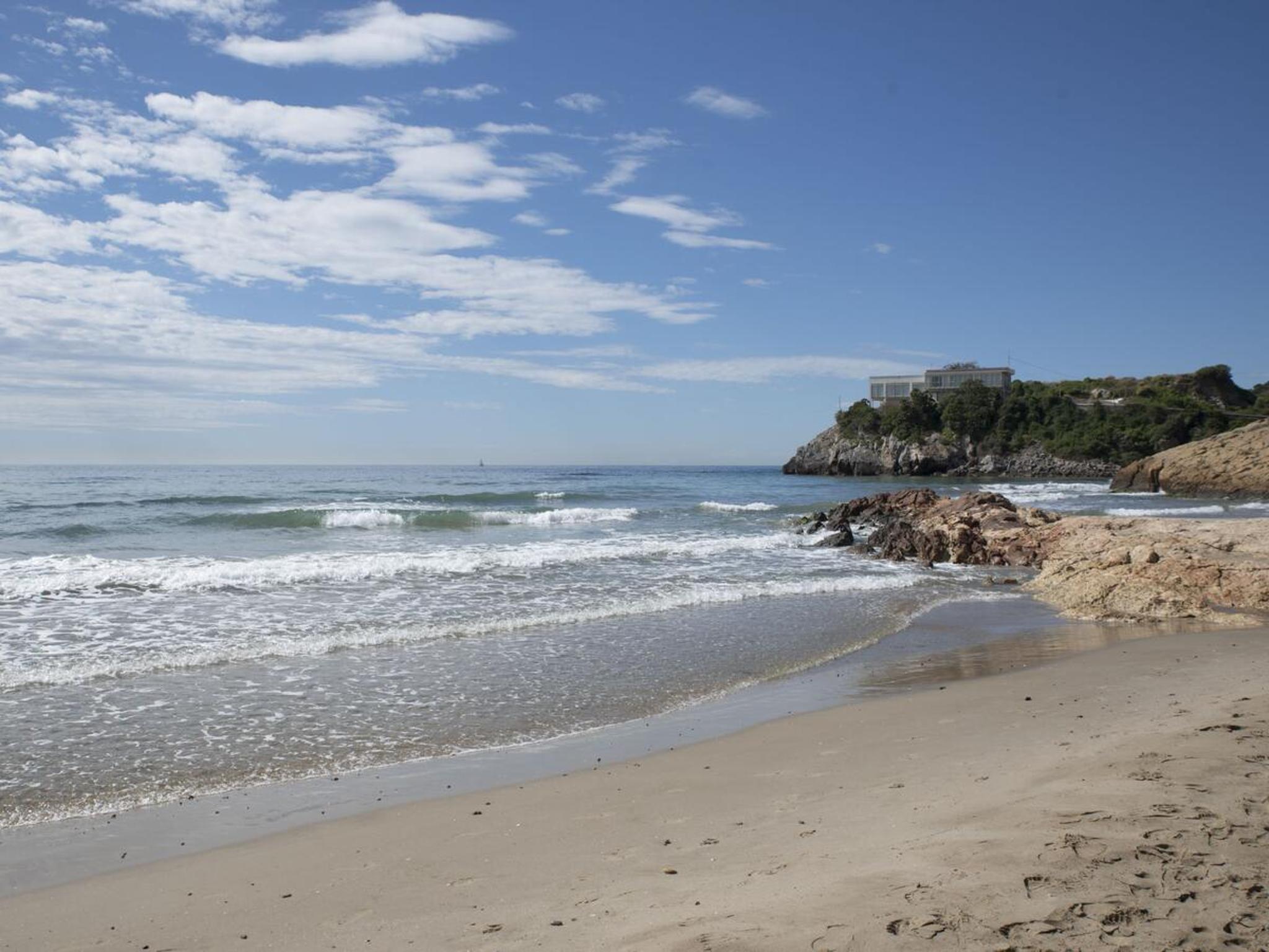 Photo 41