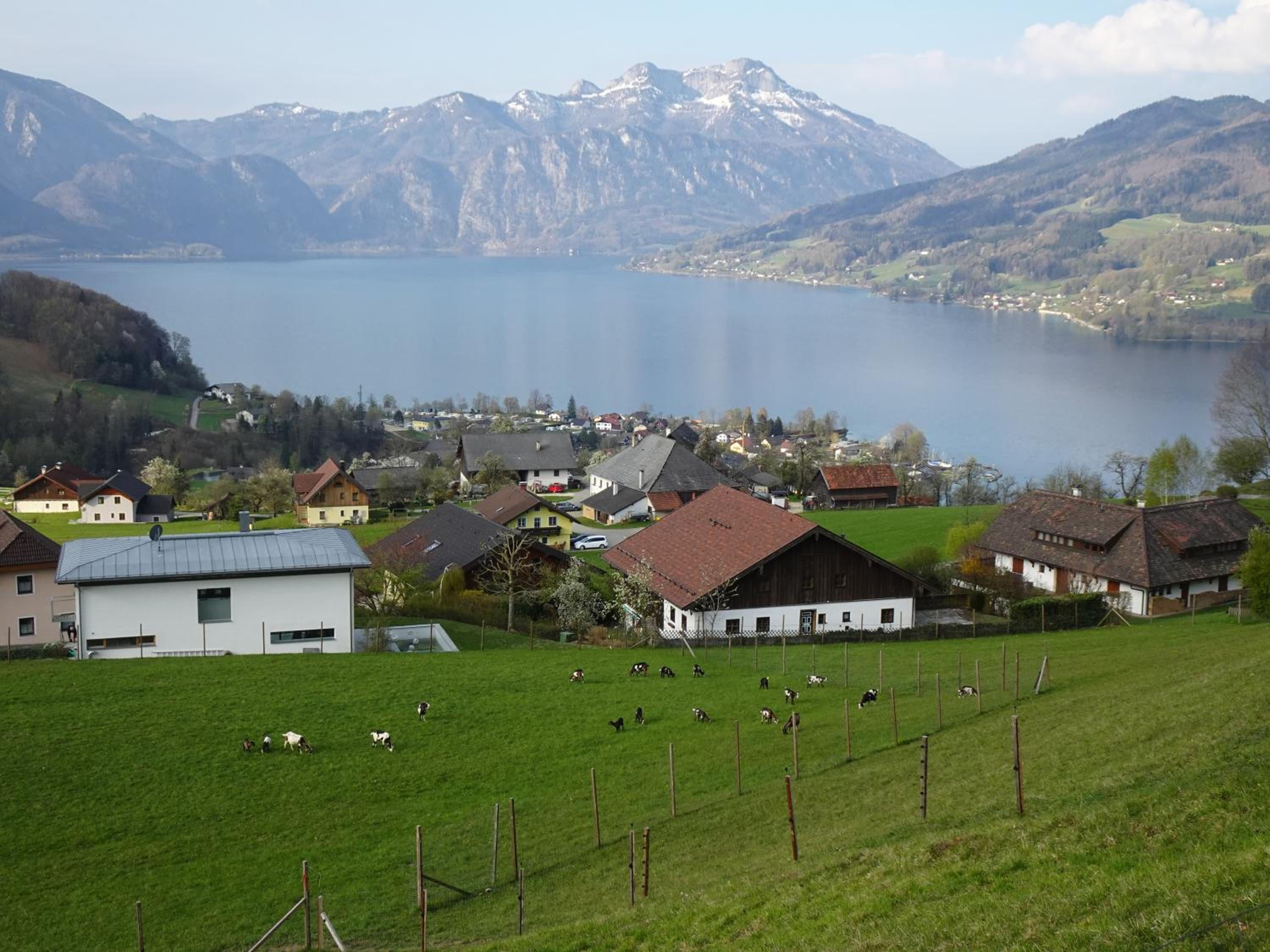Biohof Schwanser