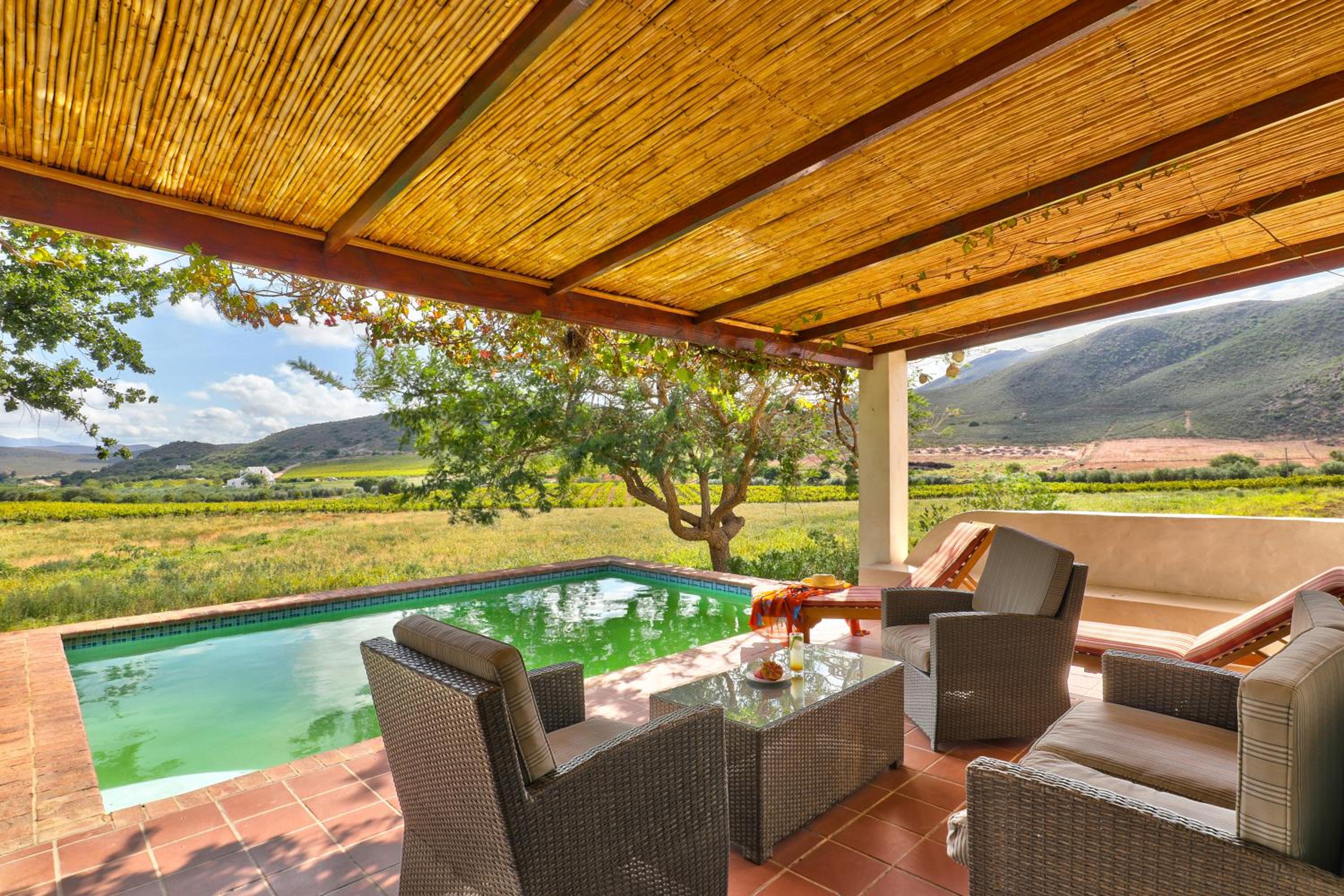 Orange Grove