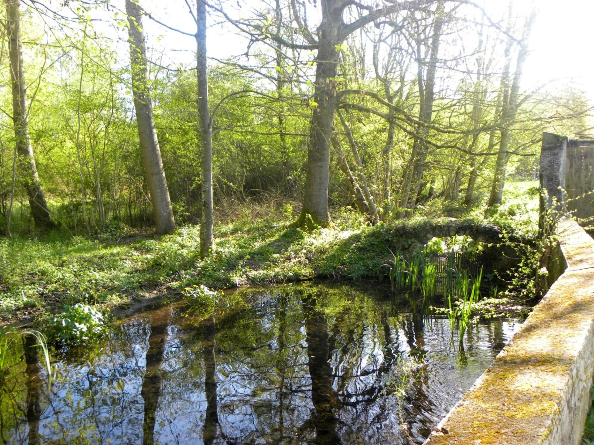 Photo 42
