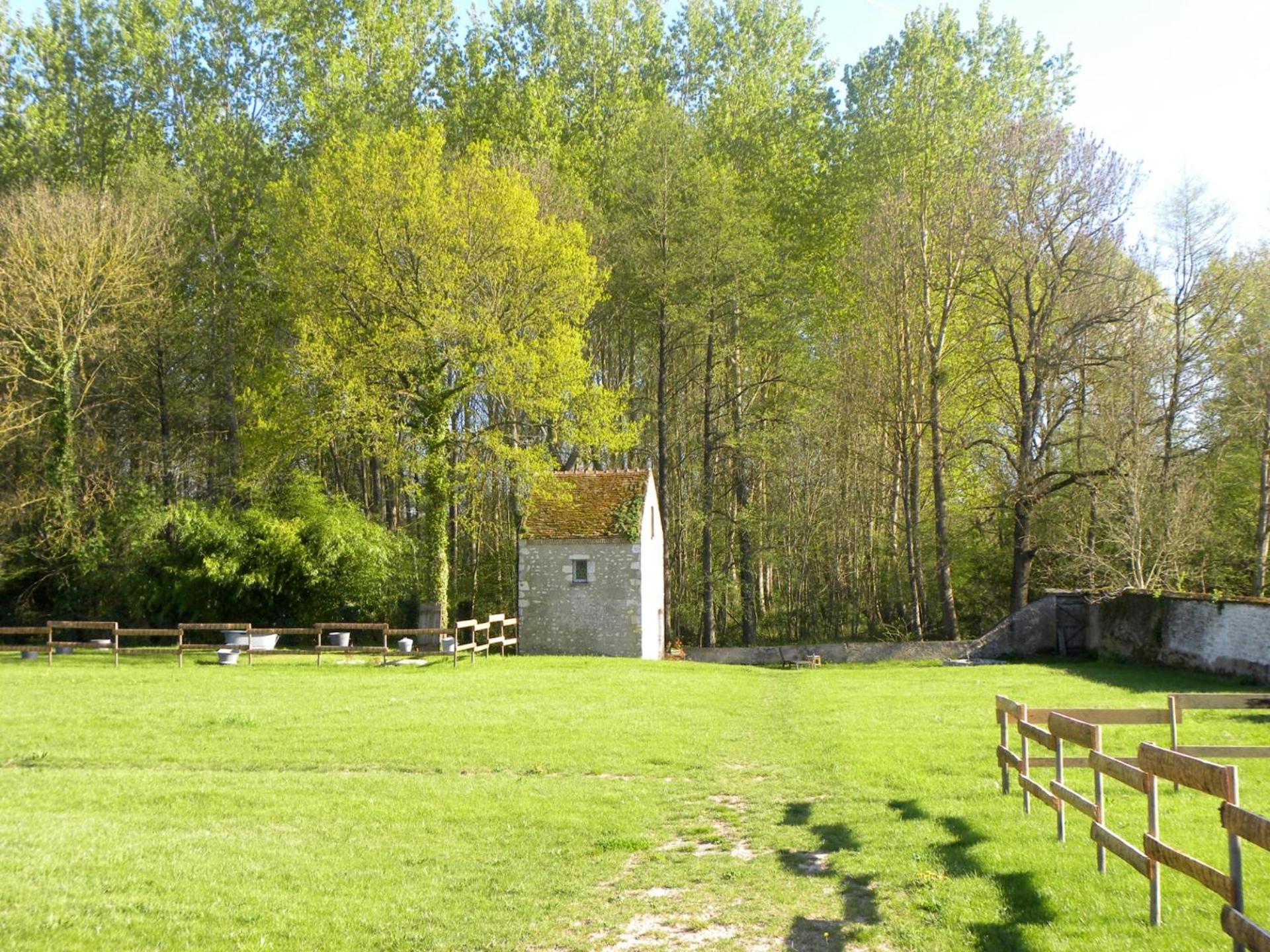 Photo 40