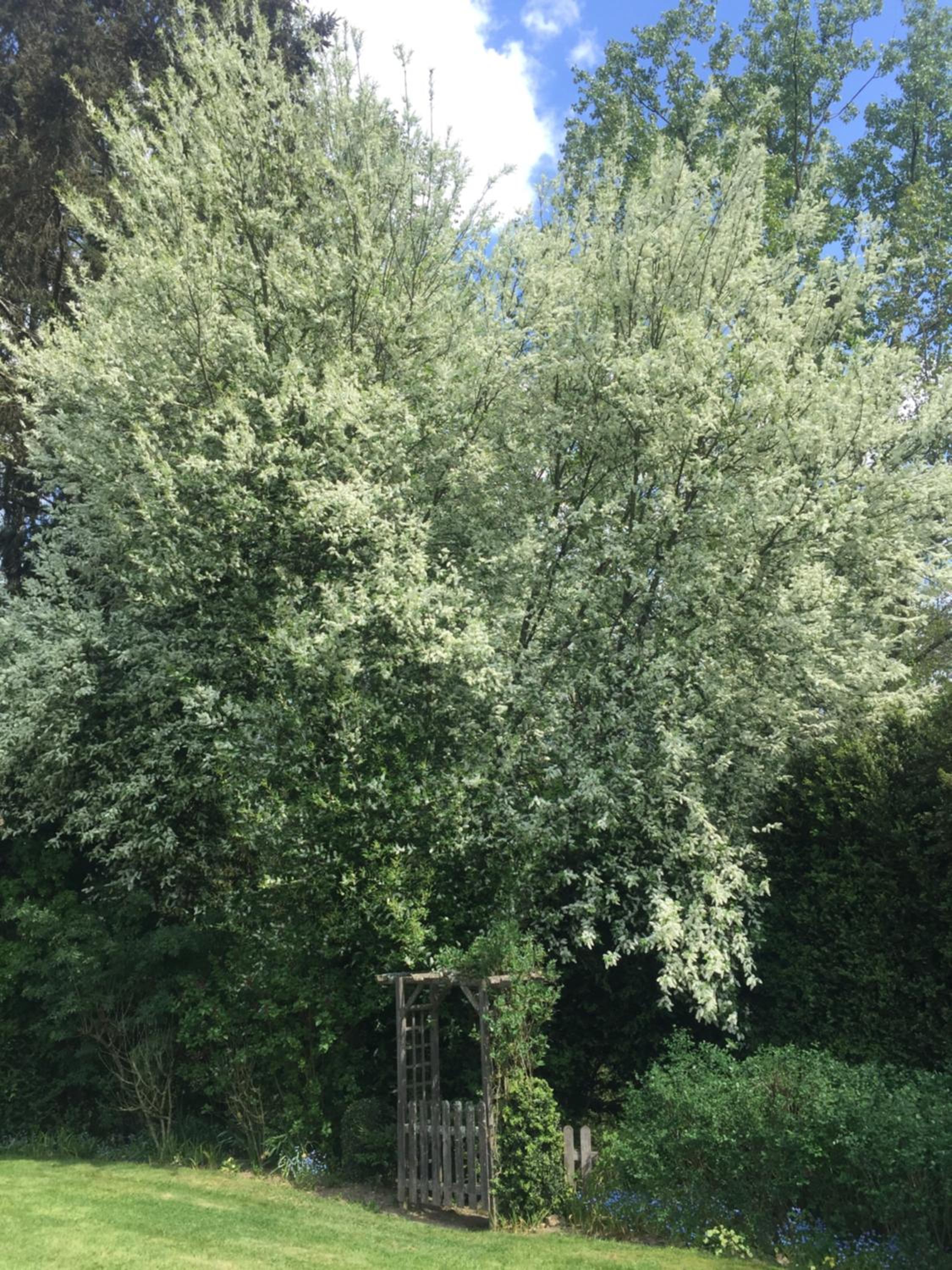 Photo 15
