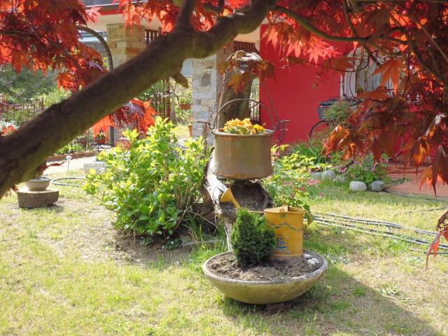 Photo 28