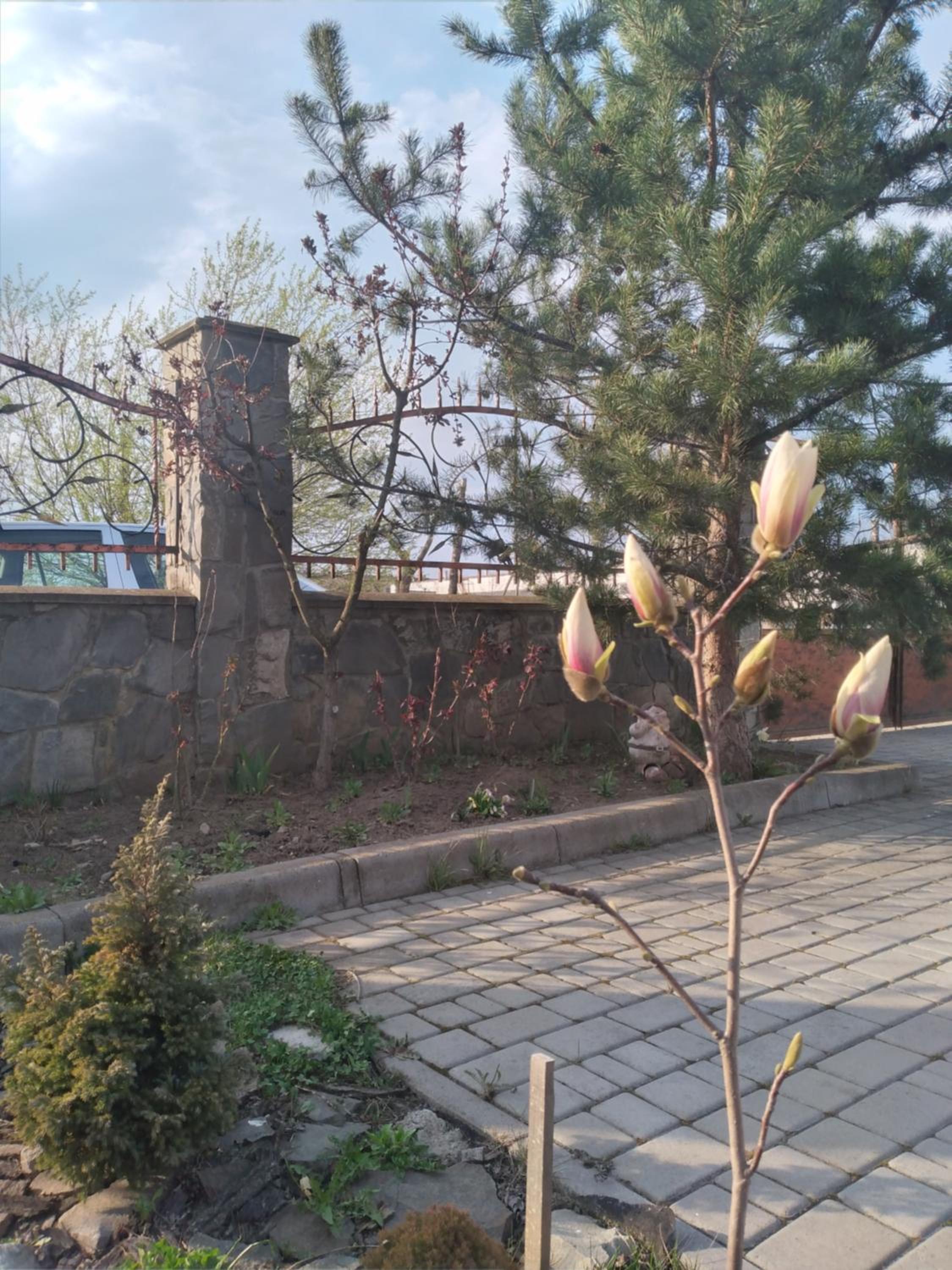 Photo 19