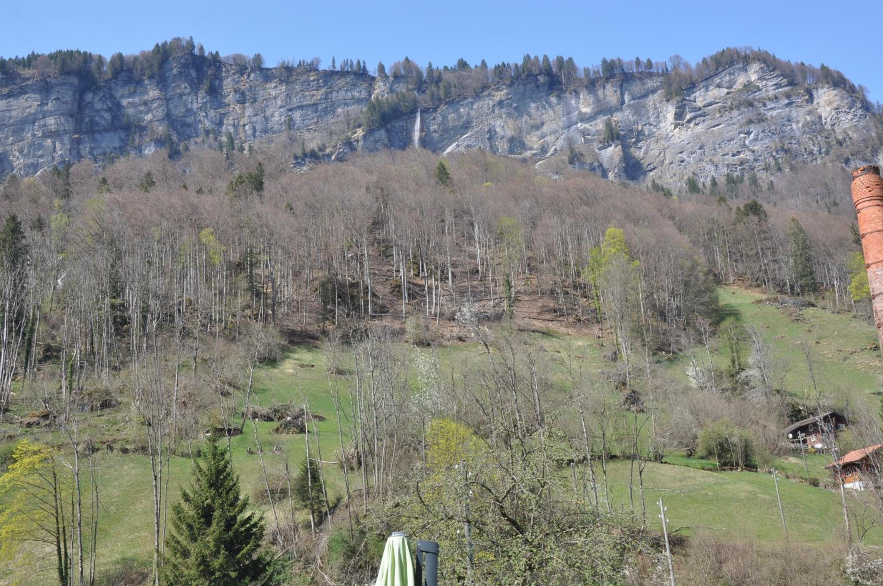 Photo 49