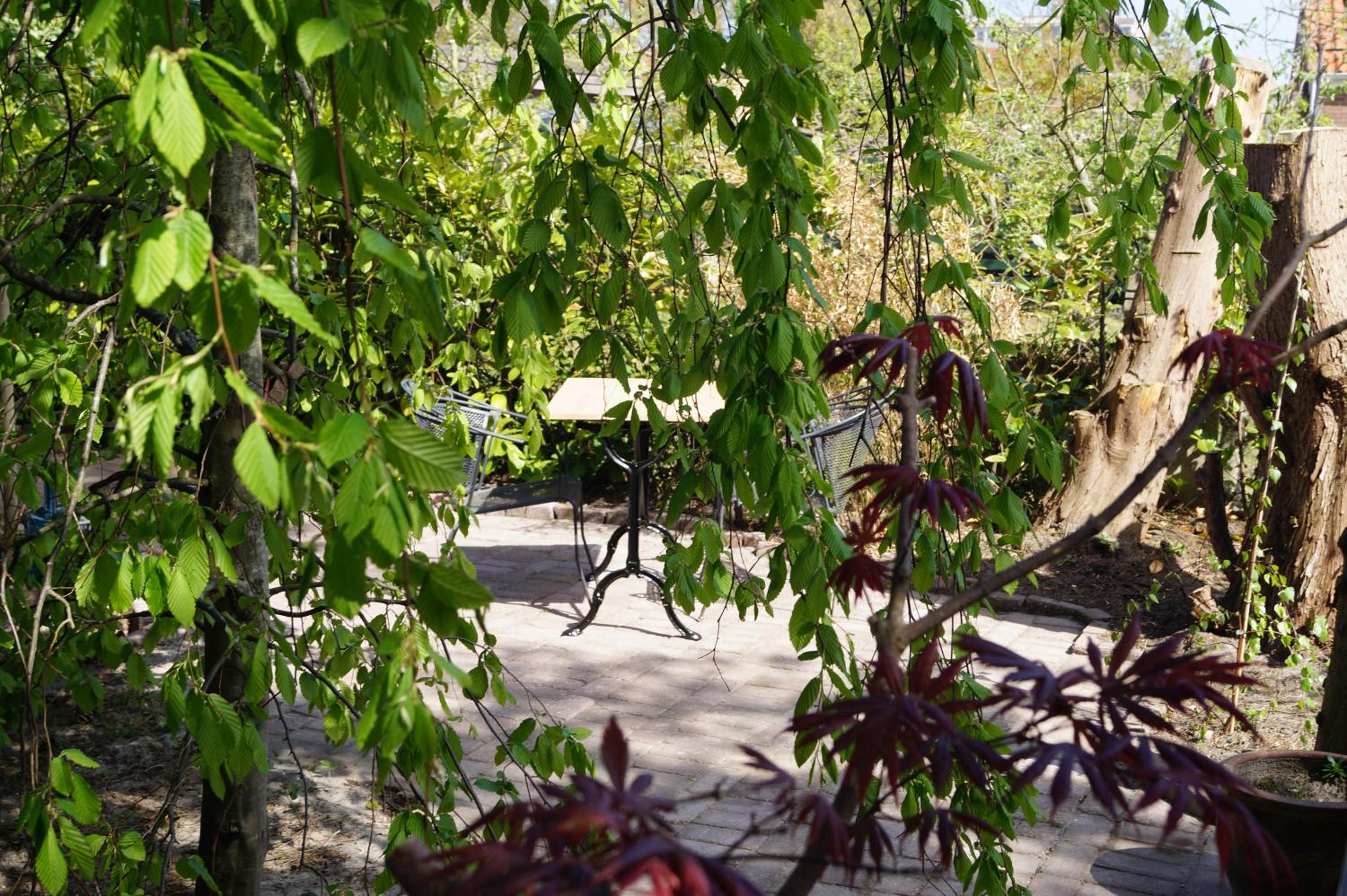Photo 6